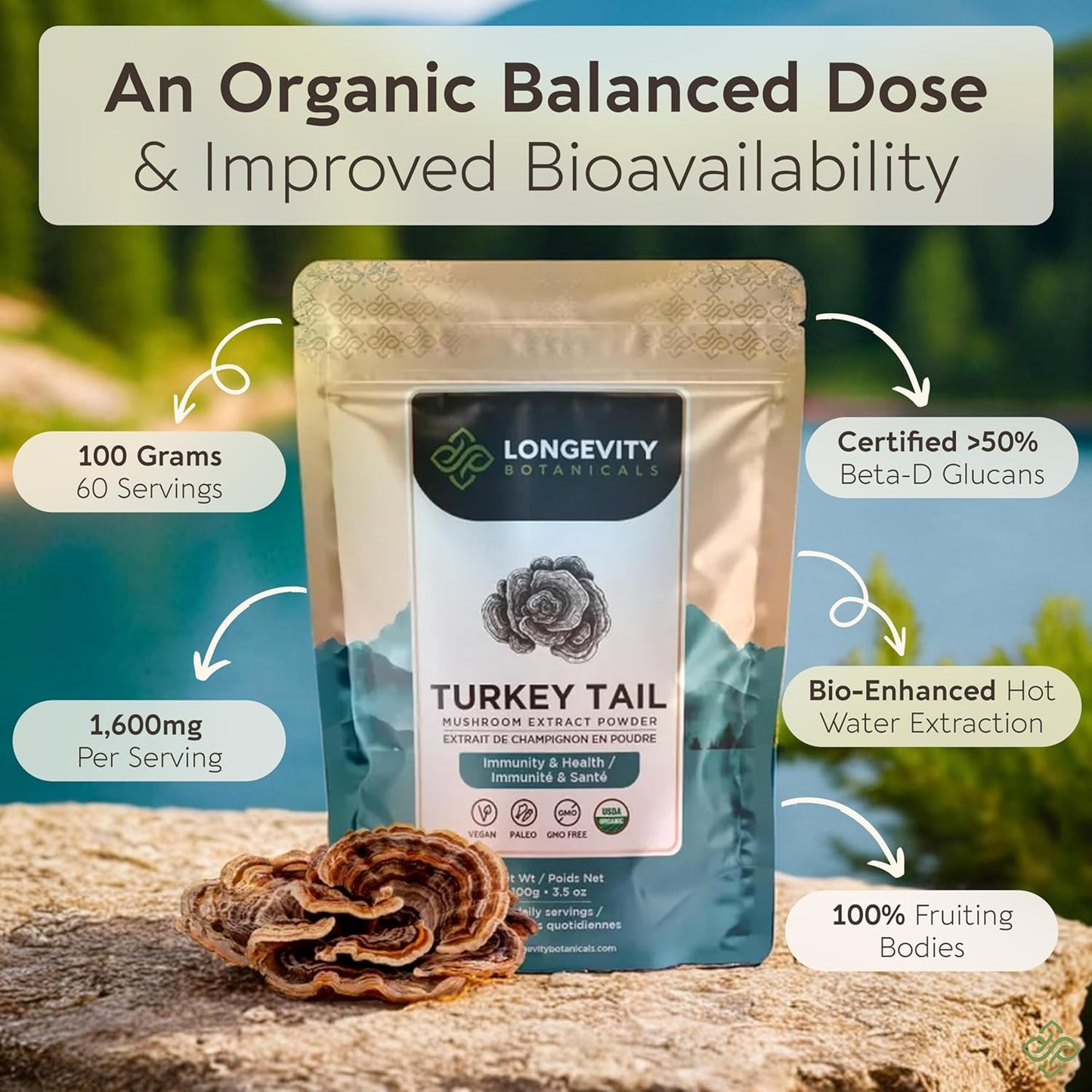 organic-turkey-tail-mushroom-powder-supplement-for-balanced-immune-digestive-system---100-fruiting-body---100g-4