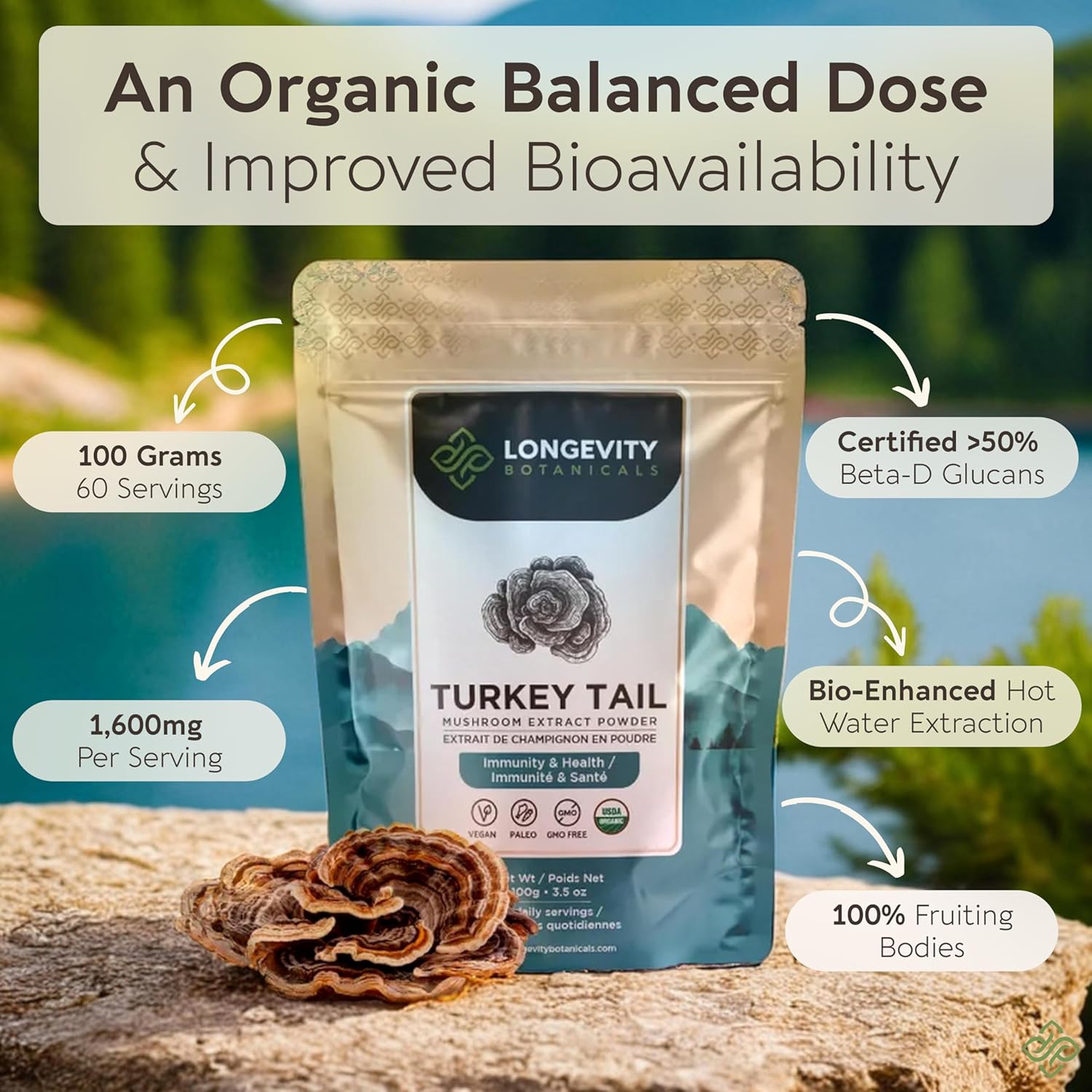 organic-turkey-tail-mushroom-powder-supplement-for-balanced-immune-digestive-system---100-fruiting-body---100g-4