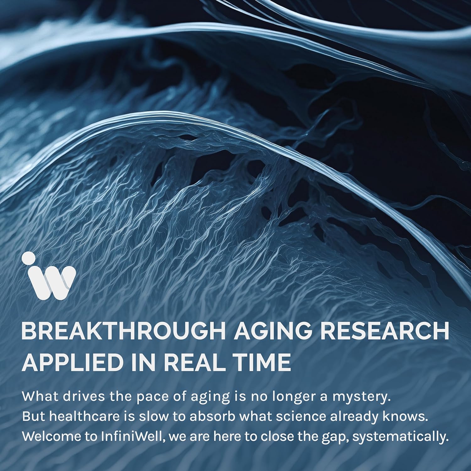 epicatechin-supplement-for-cardiovascular-muscle-support---enhances-workout-performance-recovery-non-gmo-60-capsules-7