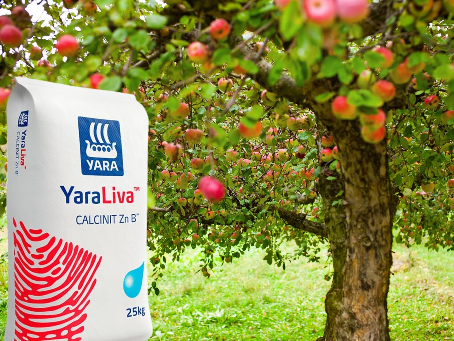 50-lb-bundle-yara-liva-calcium-nitrate-greenhouse-grade-by-evergreen-farm-garden---high-quality-fertilizer-for-greenhouse-use-1