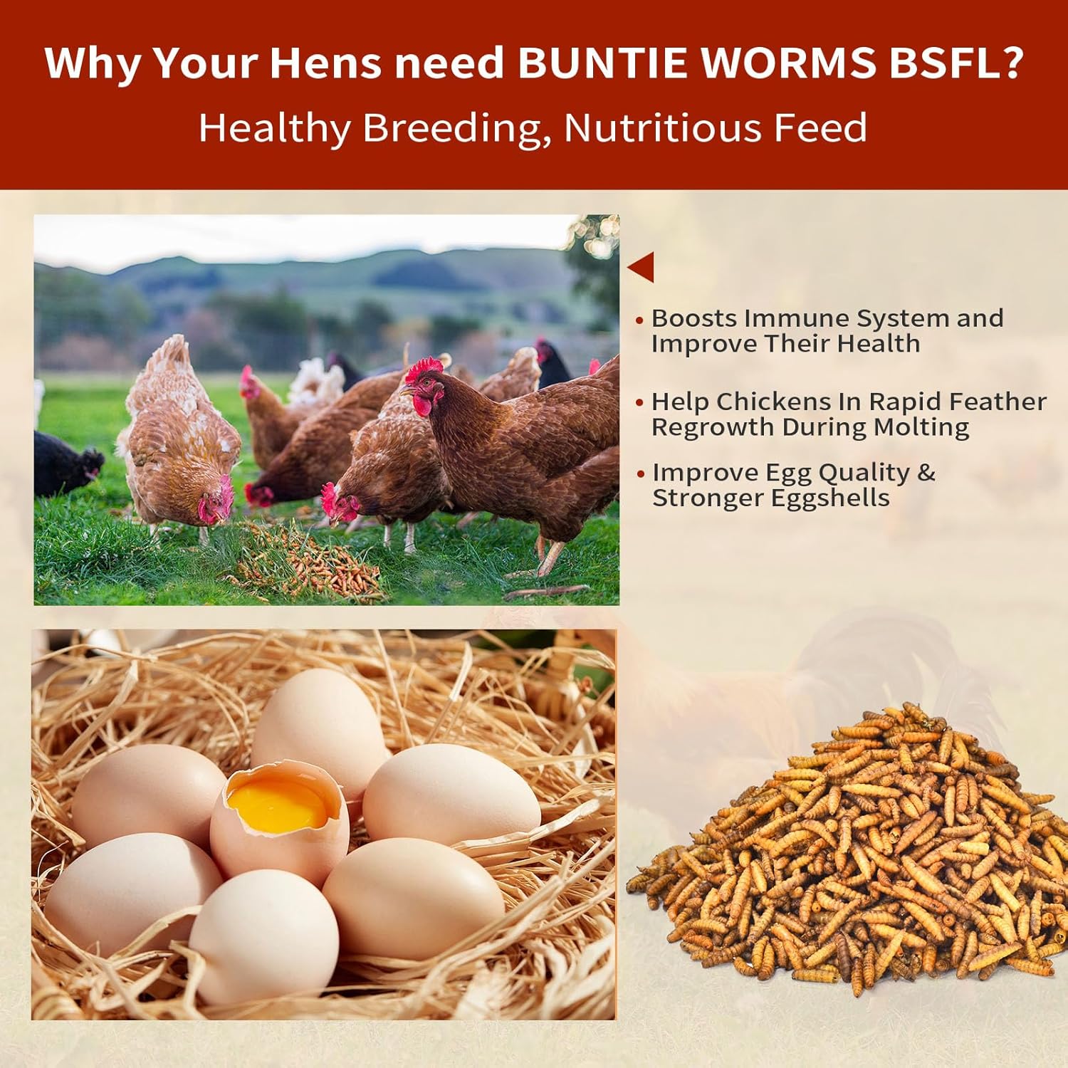 5lb-buntie-worms-dried-black-soldier-fly-larvae---high-protein-chicken-feed-non-gmo-calcium-rich-treat-for-laying-hens-ducks-wild-birds---100-natural-3