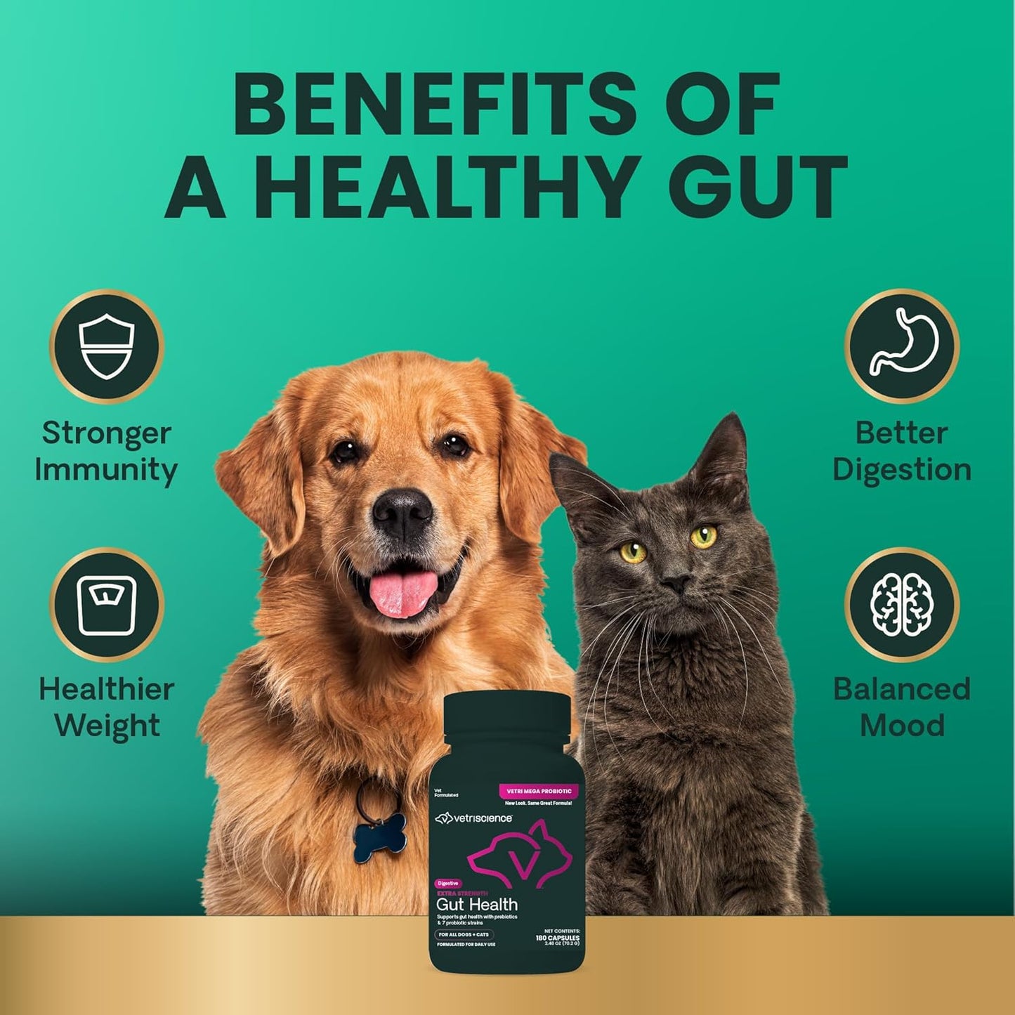 extra-strength-digestive-supplement-for-dogs-cats---probiotic-prebiotic-capsules-for-gut-health-gas-diarrhea-immune-support---180-count-75-billion-cfu-per-capsule-8