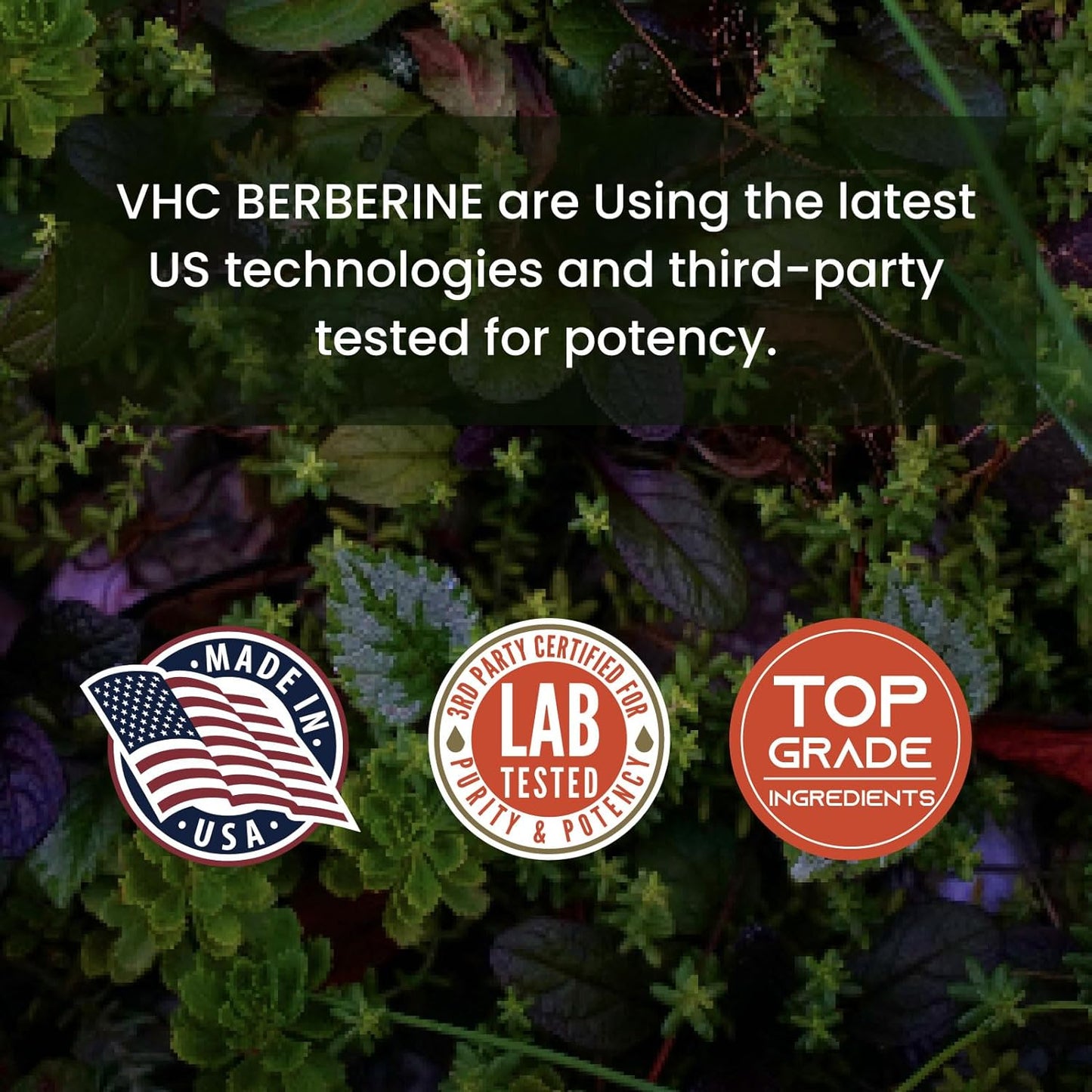 high-potency-berberine-supplement-for-optimal-absorption---2000mg-daily-dose-boosts-bioavailability-supports-immune-cardiovascular-gastrointestinal-health---non-gmo-gluten-free-veggie-caps-6