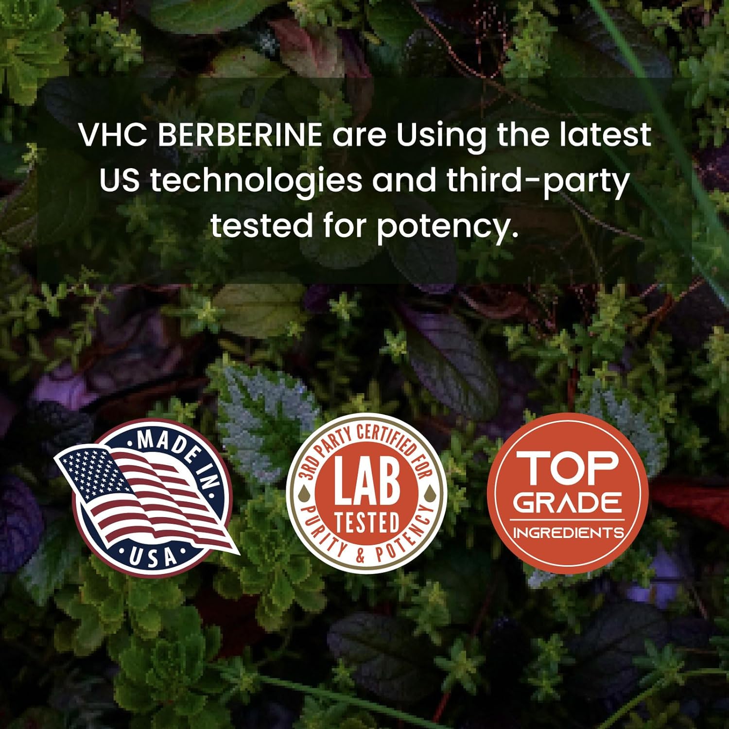 high-potency-berberine-supplement-for-optimal-absorption---2000mg-daily-dose-boosts-bioavailability-supports-immune-cardiovascular-gastrointestinal-health---non-gmo-gluten-free-veggie-caps-6