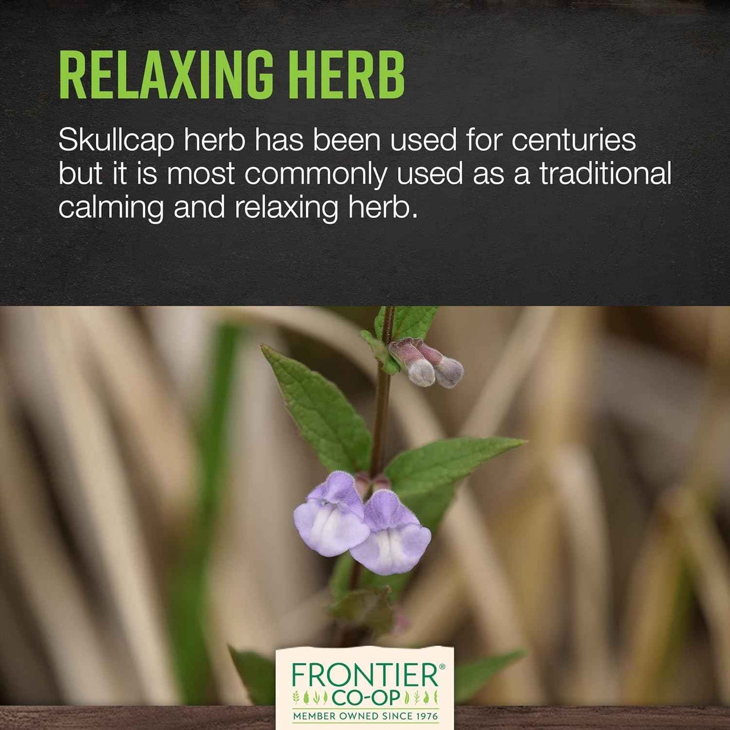 Organic Scullcap Herb Cut & Sifted 1lb - Certified Herbal Supplement for Tincture, Tea, Frontier Co-op Organic Skullcap Herb