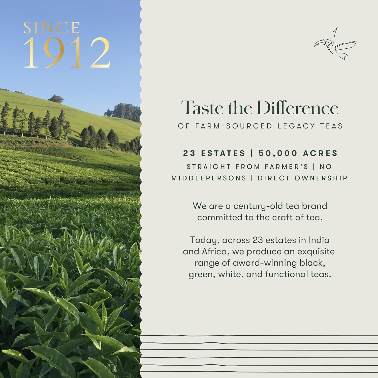 luxmi-estates-organic-ashwagandha-tea-with-turmeric-ginger-lemongrass---stress-relief-tea---25-tea-bags-10
