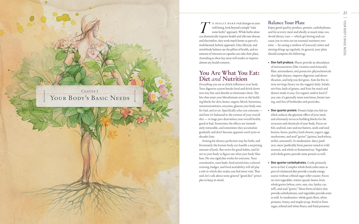 herbal-guide-to-holistic-self-care-for-achieving-body-balance-3