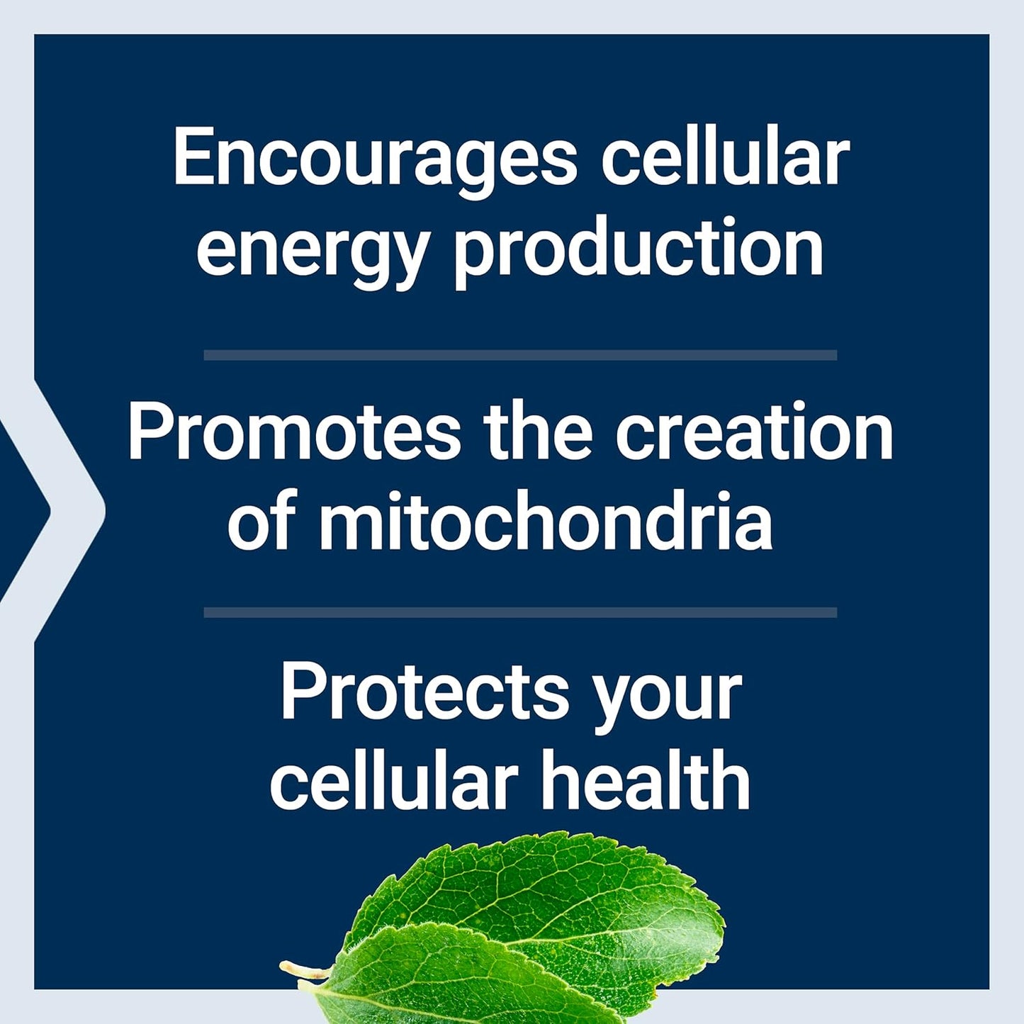 mitochondrial-energy-optimizer-with-pqq-capsules---heart-brain-health-energy-support-anti-aging---gluten-free-non-gmo-vegetarian---120-count-4