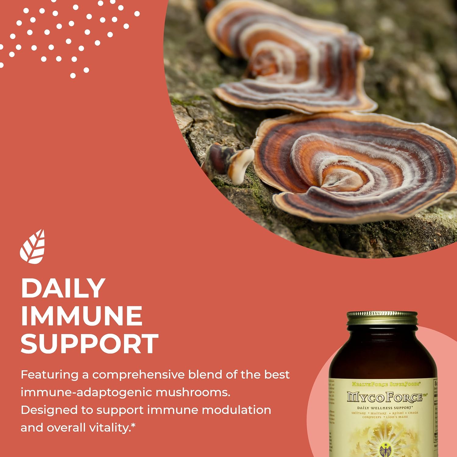 HealthForce SuperFoods MycoForce Powder - 150g - Organic Mushroom Supplement - Espot.com.au