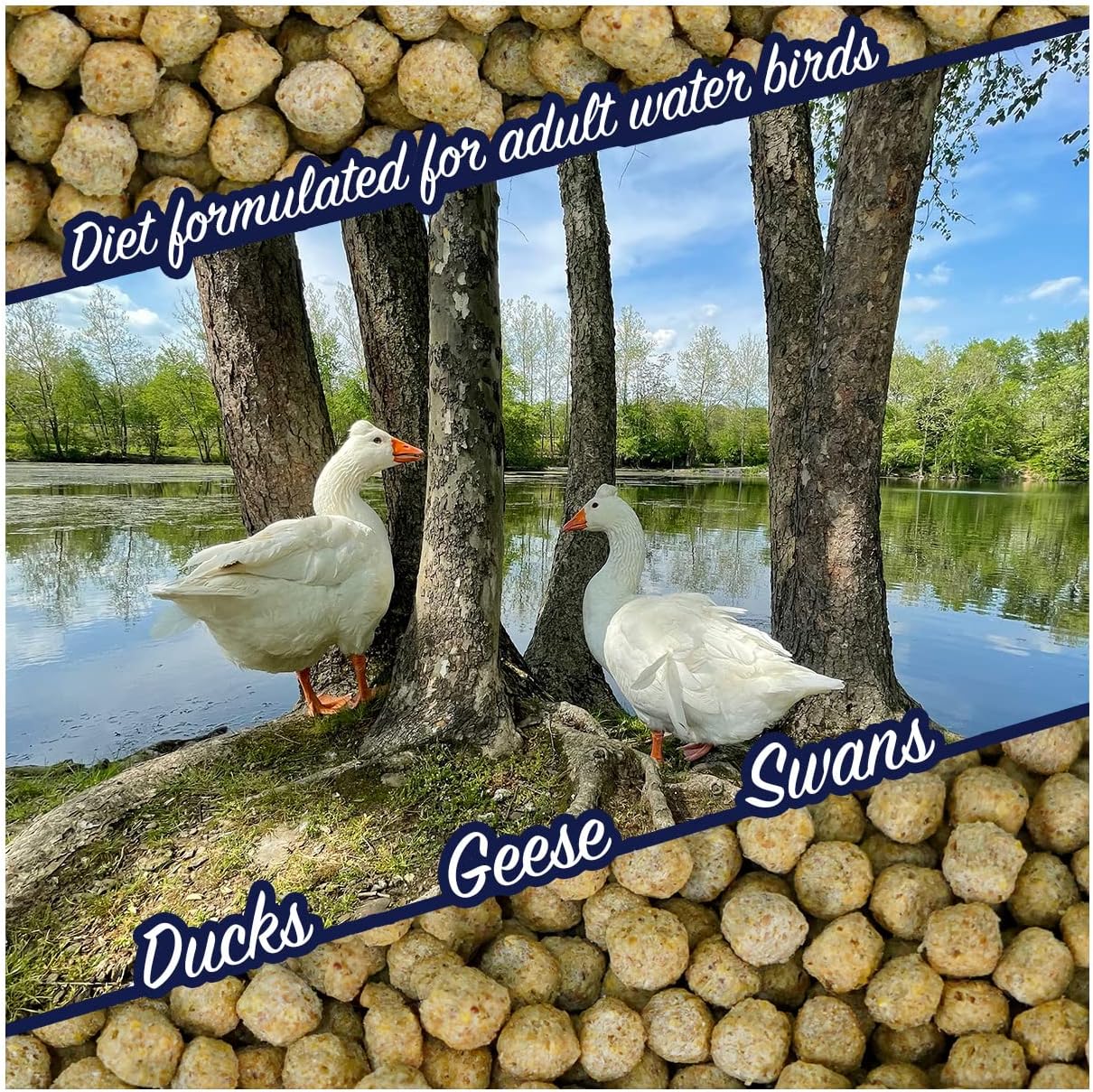 floating-waterfowl-feed-pellets-5-lb-resealable-bag-for-ducks-swans-geese-natural-ingredients-ideal-for-wild-or-pet-ducks-4