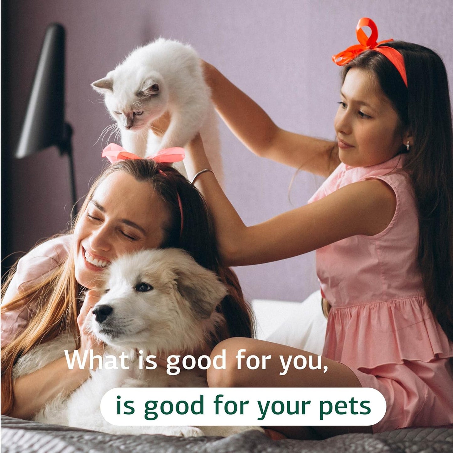 standard-process-vf-antronex-liver-support-supplement-for-pets---supports-immune-system-healthy-liver-function-in-cats-dogs---90-tablets-6