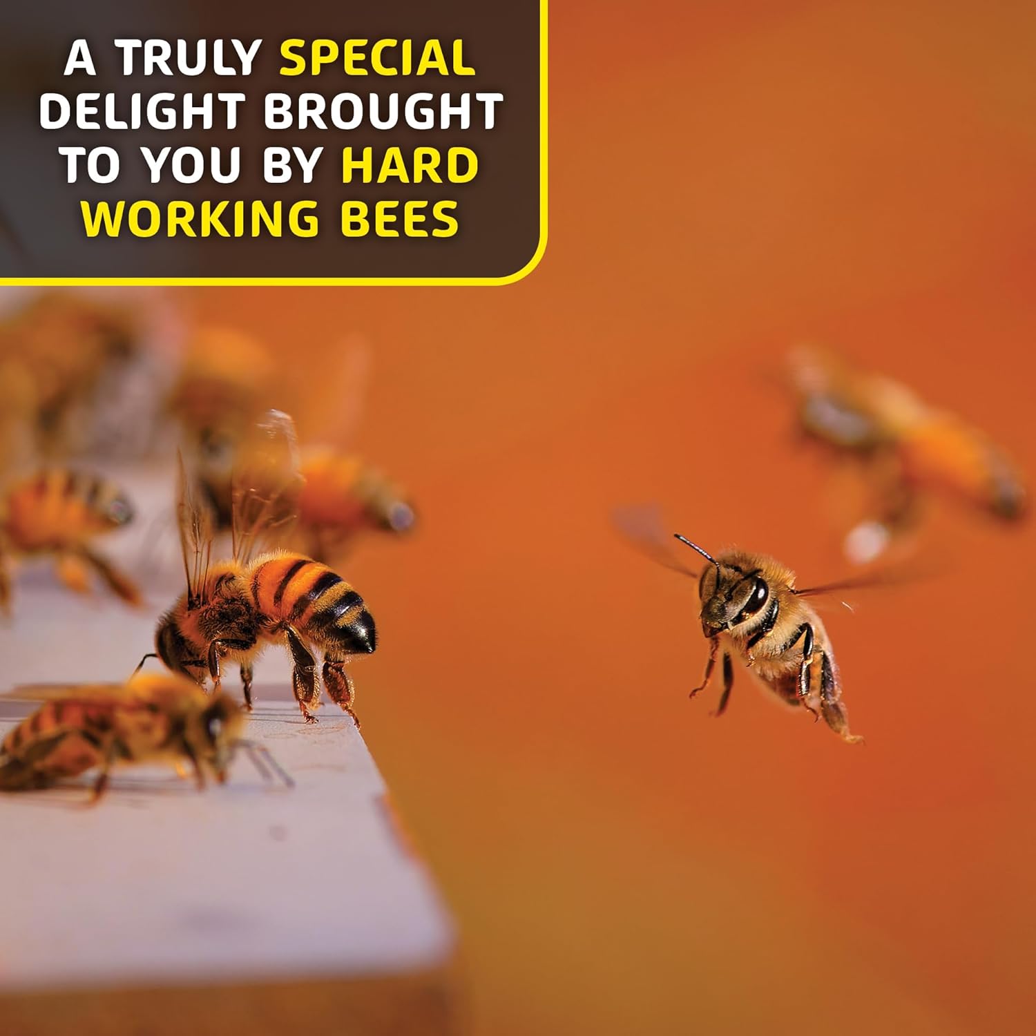8.8 Oz Helio Hives Bee Pollen Granules: Western Australia Pure Superfood for Optimal Health & Superior Taste