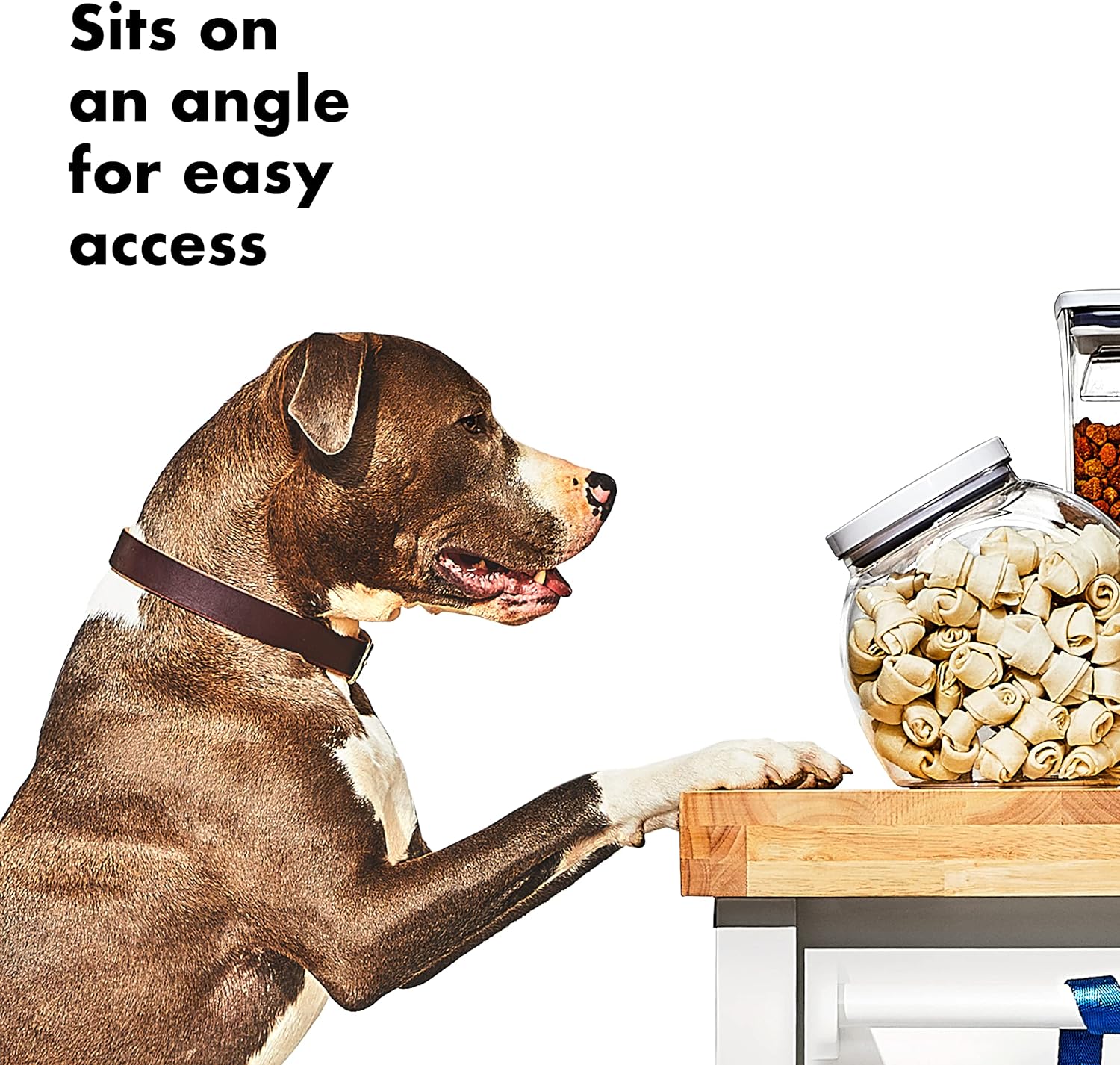 oxo-good-grips-pet-pop-container---30-qt28-l-airtight-storage-for-up-to-2lbs-of-treats-bpa-free-dog-cat-food-container-5