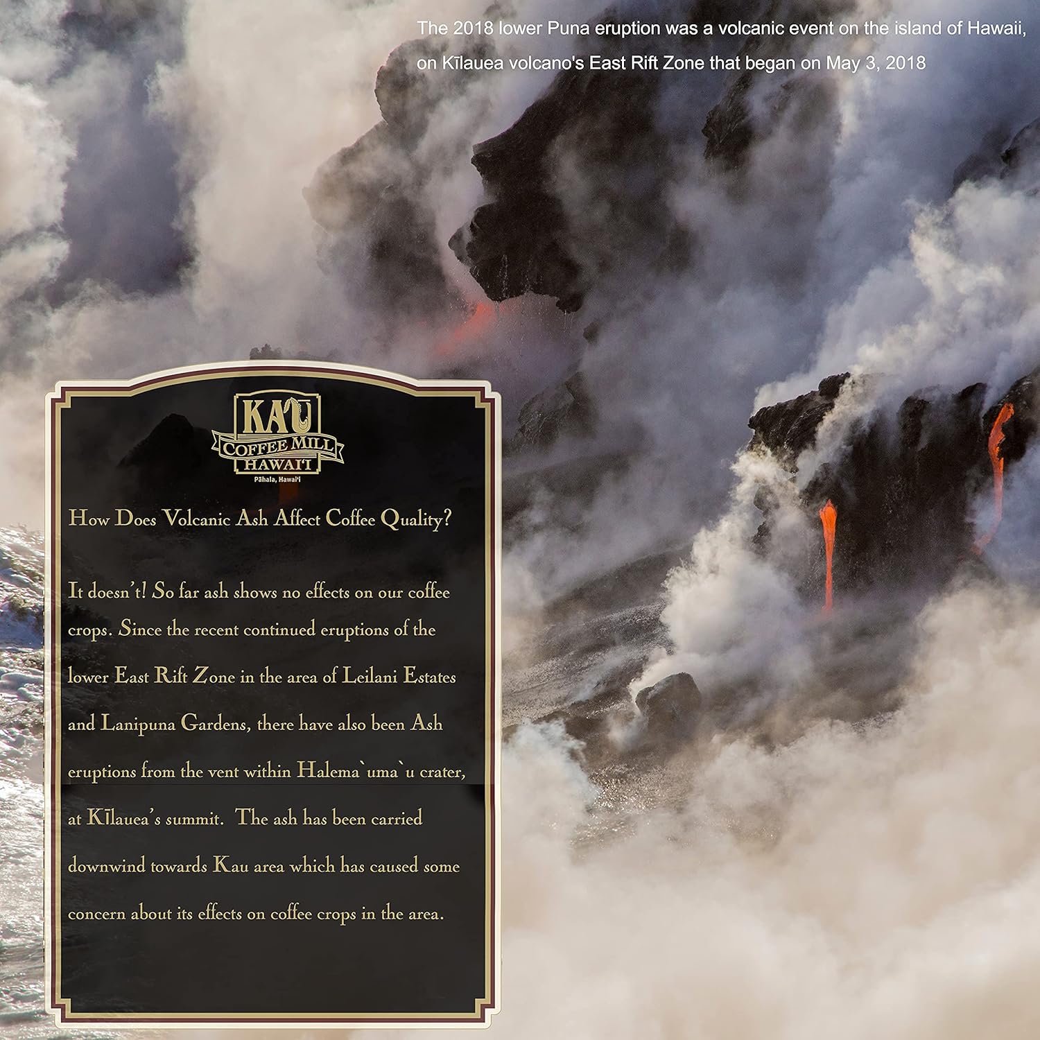 kau-coffee-mill-vanilla-macadamia-nut-flavored-ground-coffee---handcrafted-hawaiian-roast-with-pure-kau-coffee---gourmet-small-batch---10oz-7