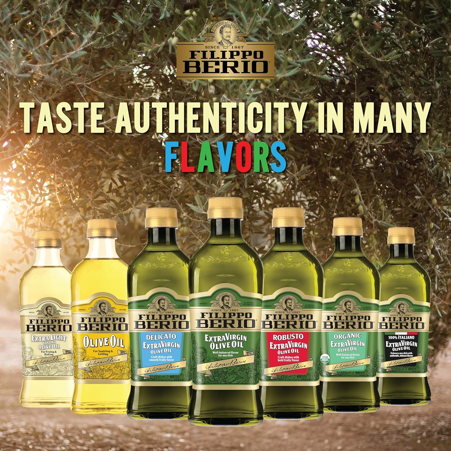 507oz-filippo-berio-organic-extra-virgin-olive-oil-in-recycled-pet-bottle-8