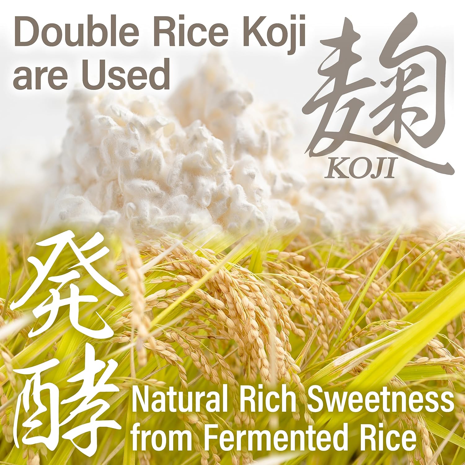 yamasan-kyoto-uji-white-miso-paste---traditional-japanese-fermented-food-in-squeezable-tube-350g-4