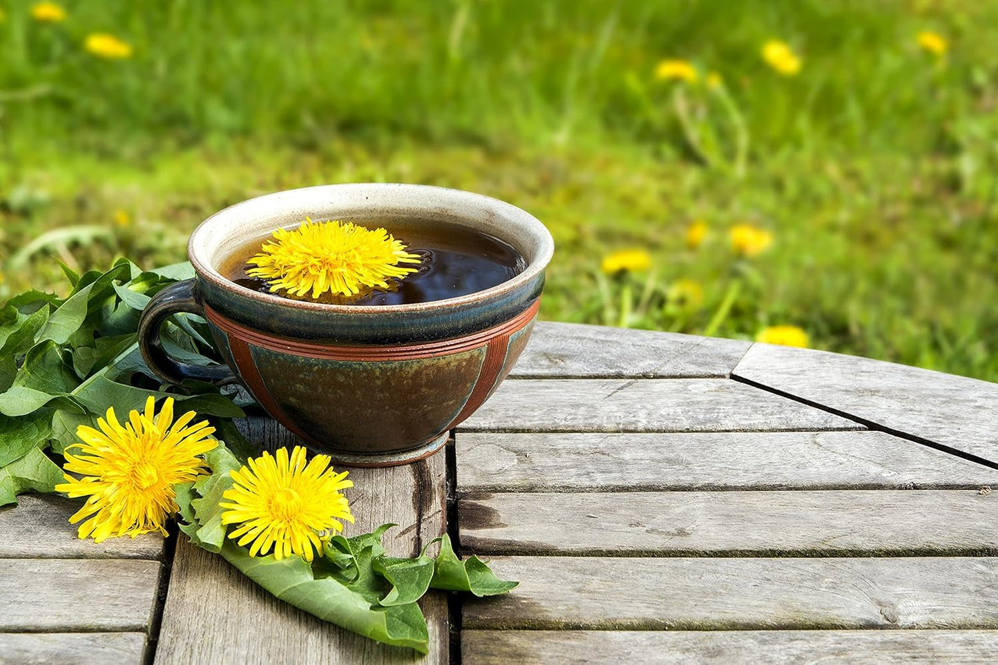 organic-dandelion-root-loose-tea-4oz-resealable-bag---cut-sifted---fgo-5