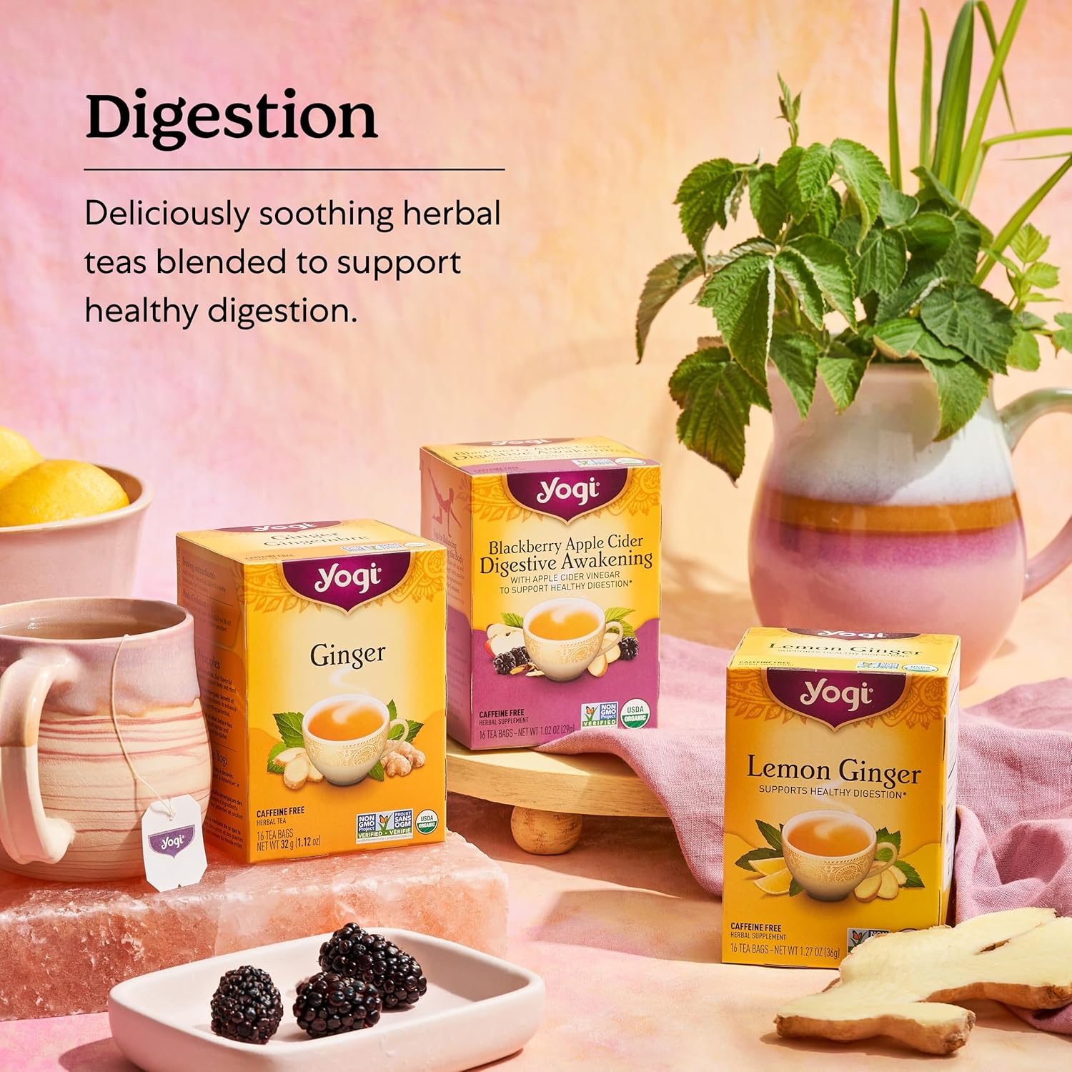 yogi-lemon-ginger-tea-bags-96-count-pack-of-6---promotes-digestive-health-wellness-5