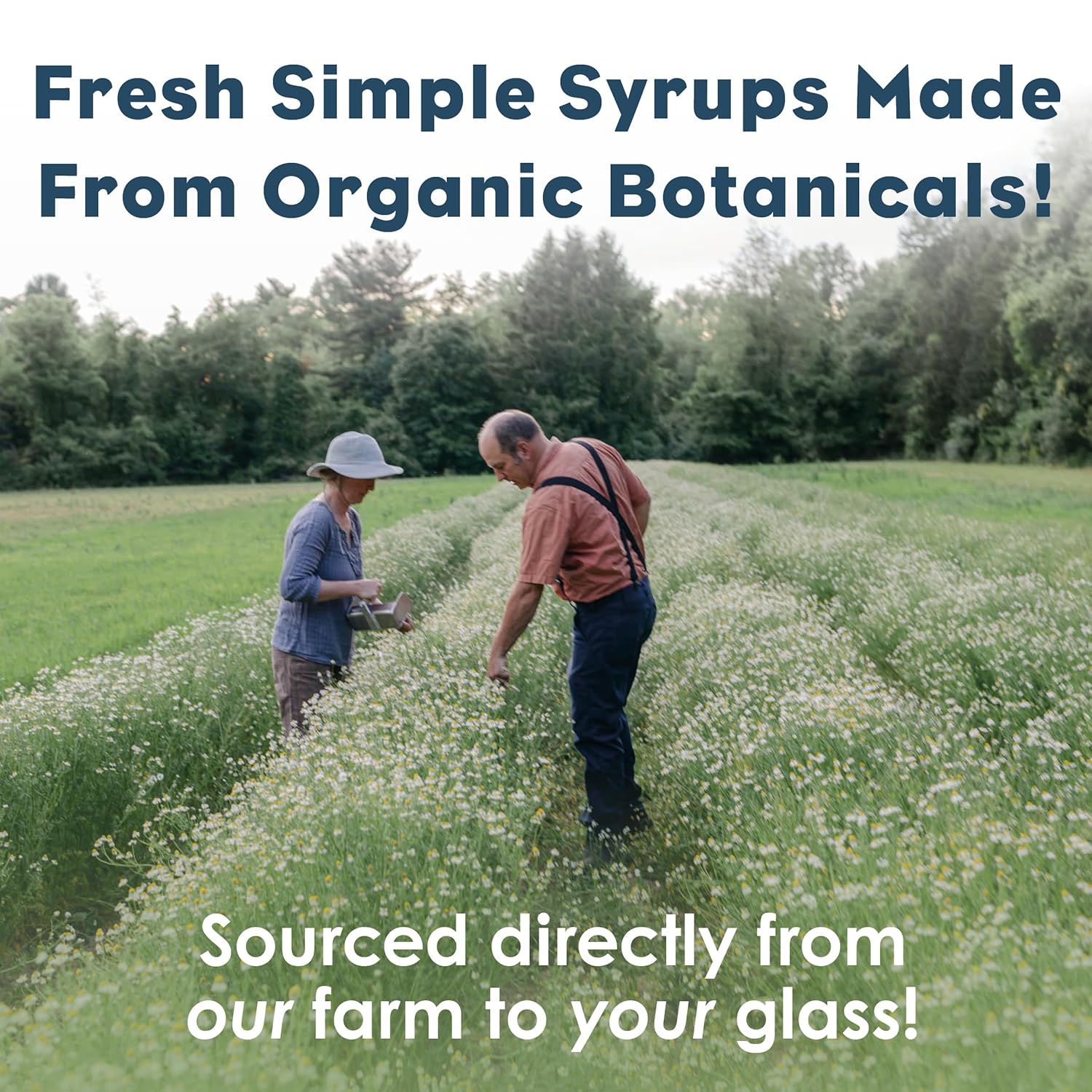 bluestem-botanicals-elderberry-simple-syrup-cocktail-and-mocktail-mixer-non-alcoholic-8oz-syrup-bottle-4