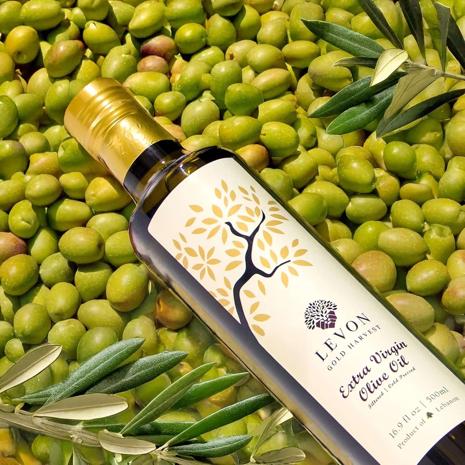 levon-gold-harvest-mediterranean-extra-virgin-olive-oil---premium-early-harvest-cold-pressed-monovarietal-evoo---polyphenol-rich---169-fl-oz-glass-bottle-in-elegant-gift-box-4