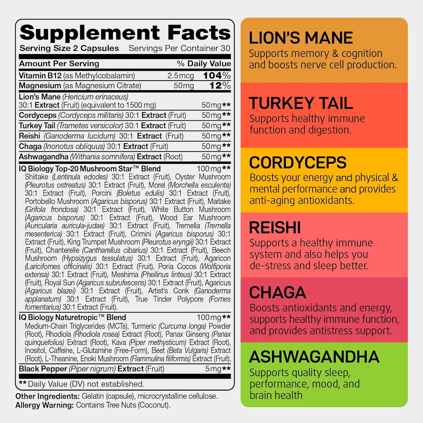 organic-nootropic-mushroom-supplement-with-kava-kava-root-cordyceps-lions-mane-and-reishi---energy-vitamins-for-women---includes-ashwagandha-and-magnesium---60-capsules-2-pack-2
