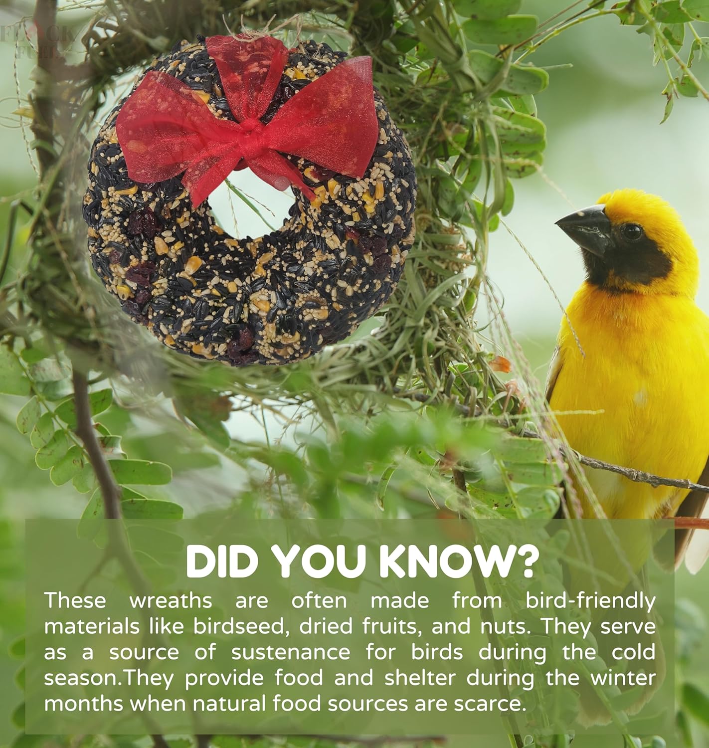 bird-seed-christmas-wreath-for-outdoor-wild-birds-flock-fuel-seed-blend-hanging-bird-feeder-decoration-6