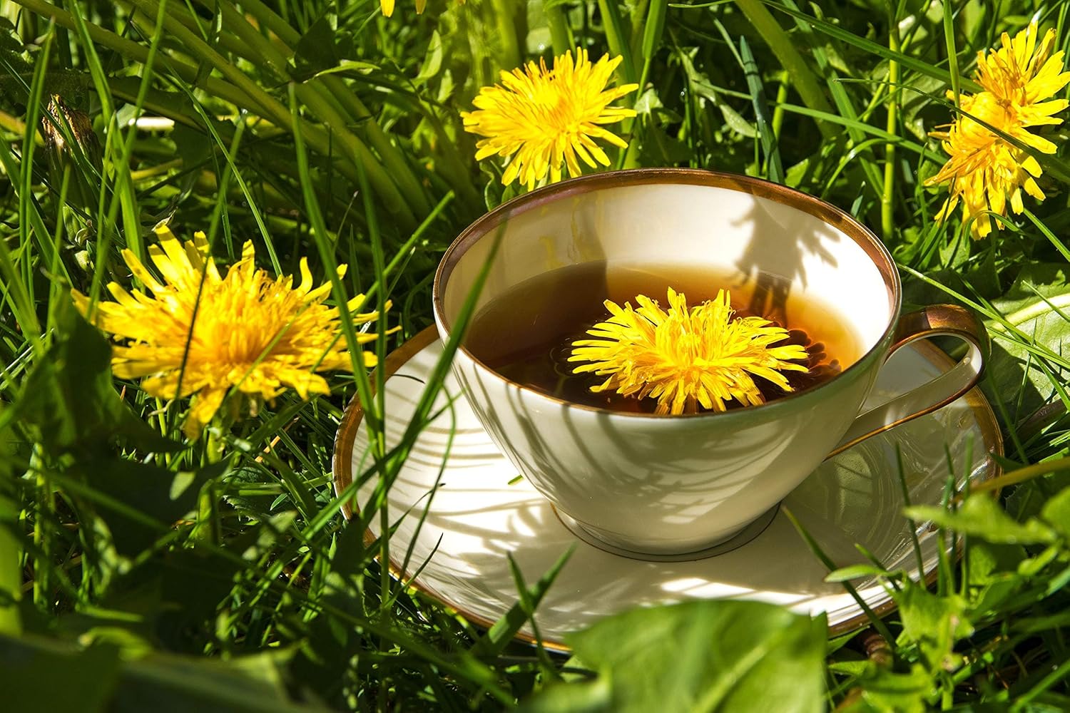 organic-dandelion-leaf-tea-taraxacum-officinale-herbal-infusion-100g-by-health-embassy-6