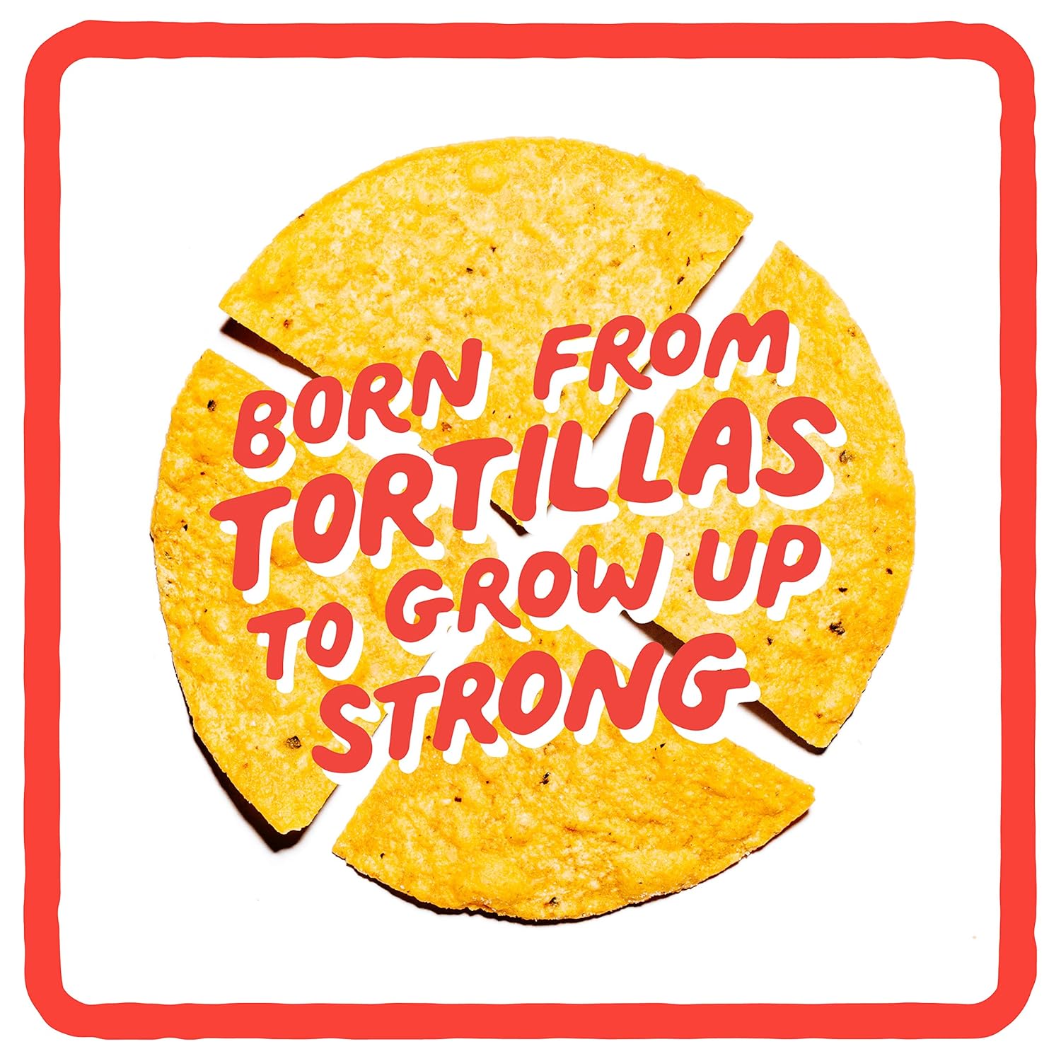 organic-non-gmo-gluten-free-tortilla-chips-for-dipping---9-oz-bag-by-zacks-mighty-5
