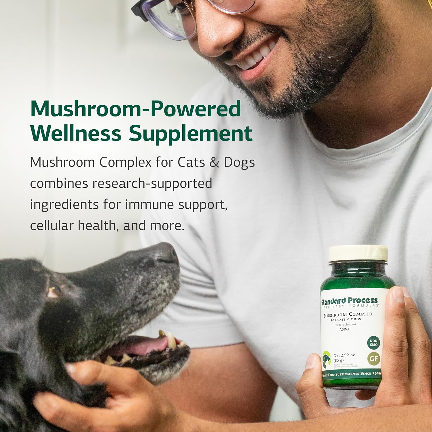 standard-process-mushroom-complex-for-dogs-cats-with-bovine-colostrum---immune-support-powder---lions-mane-extract-for-pet-health---292-oz-3