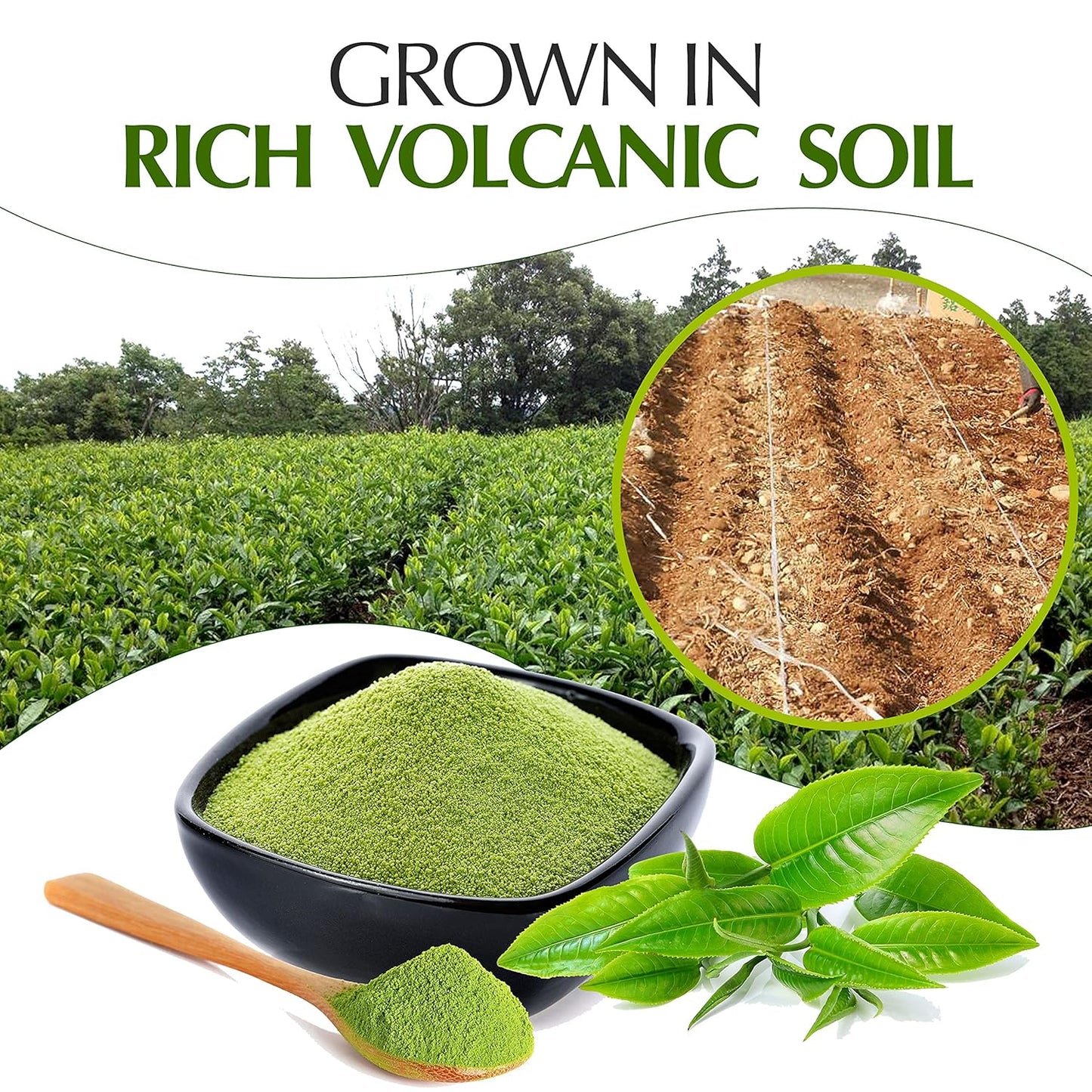 kagoshima-matcha-japanese-green-tea-powder-30g---ceremonial-grade-matcha-tea-with-natural-sweetness---easy-brewing-option-5