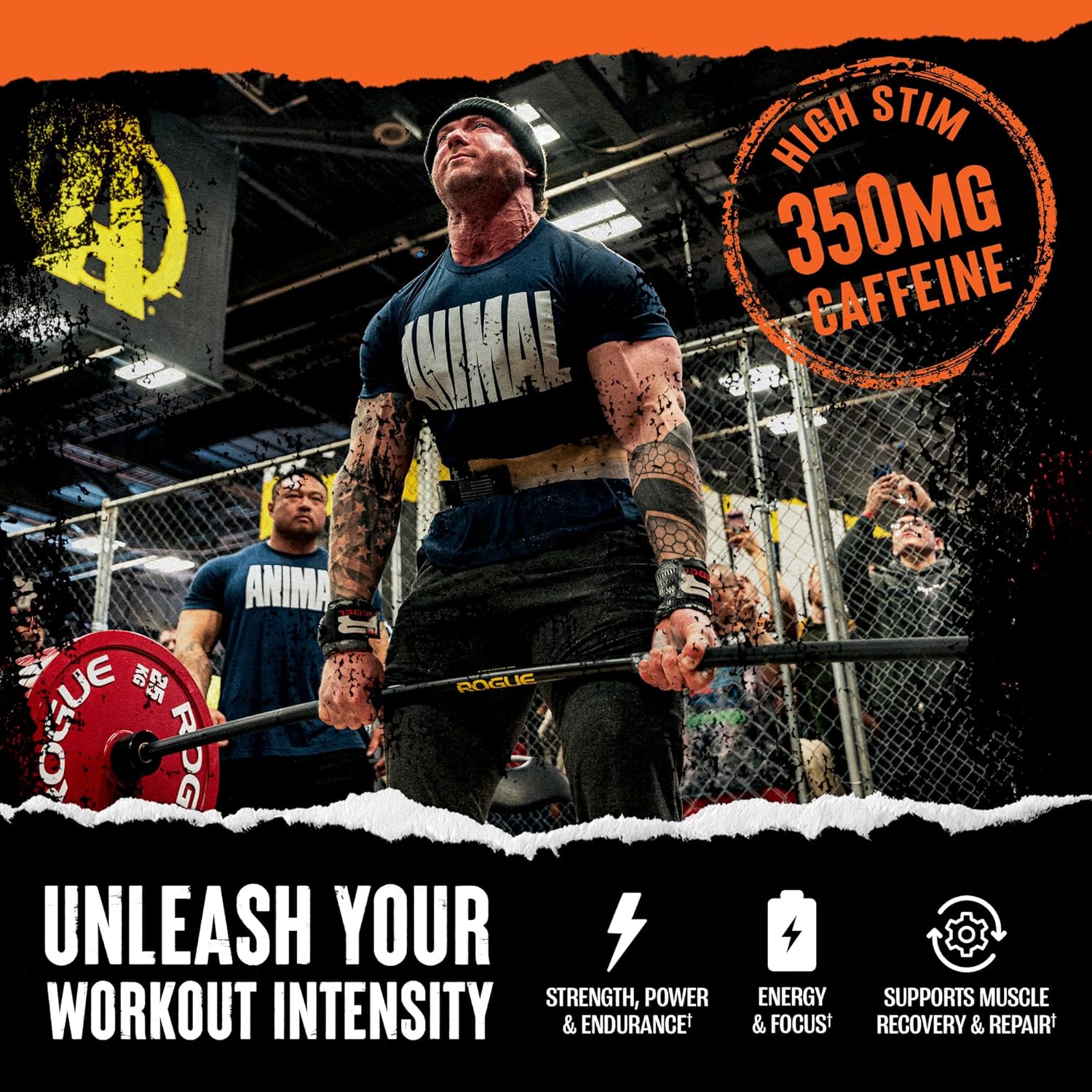 Animal Fury Pre Workout Powder - Energy and Focus Supplement with BCAAs, Caffeine, and Beta-Alanine for Enhanced Performance - Green Apple Flavor - 20 Servings - Espot.com.au