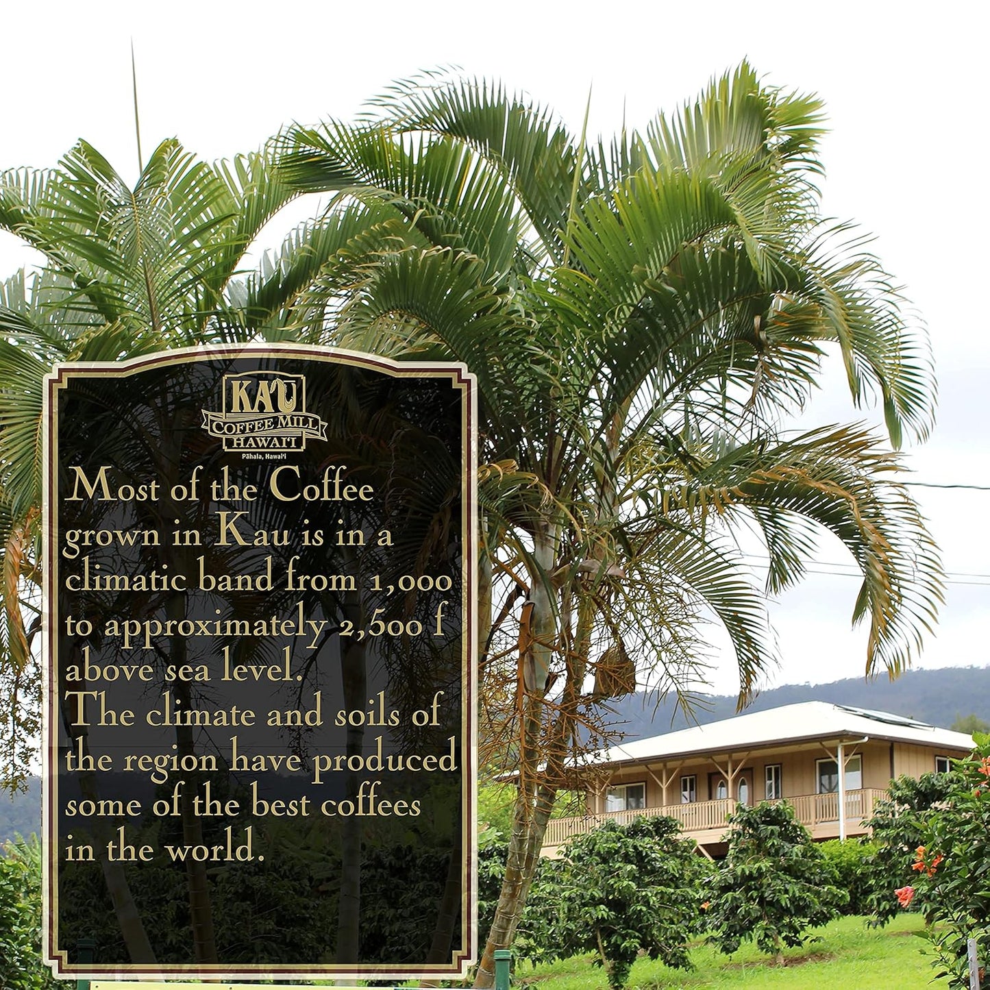 kau-coffee-mill-vanilla-macadamia-nut-flavored-ground-coffee---handcrafted-hawaiian-roast-with-pure-kau-coffee---gourmet-small-batch---10oz-2