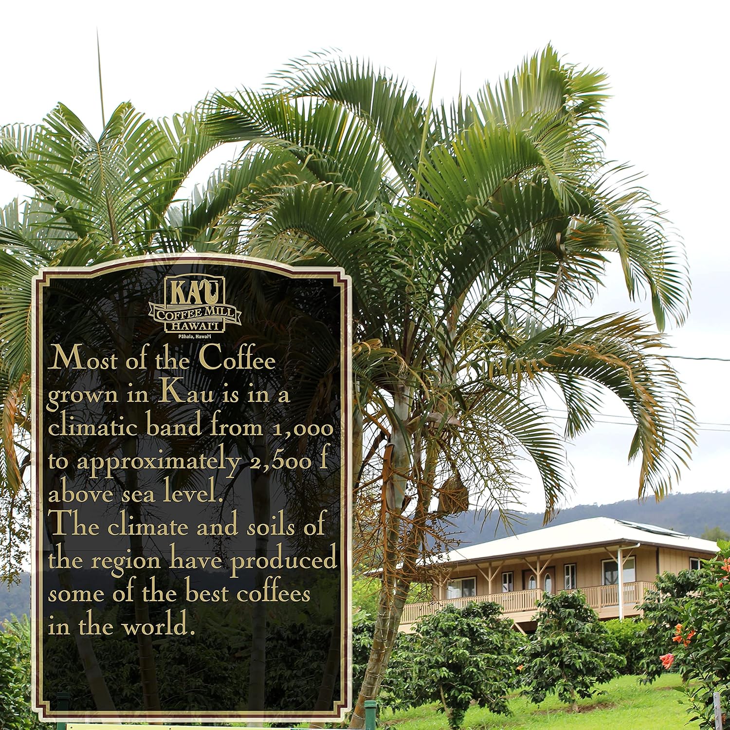 kau-coffee-mill-vanilla-macadamia-nut-flavored-ground-coffee---handcrafted-hawaiian-roast-with-pure-kau-coffee---gourmet-small-batch---10oz-2