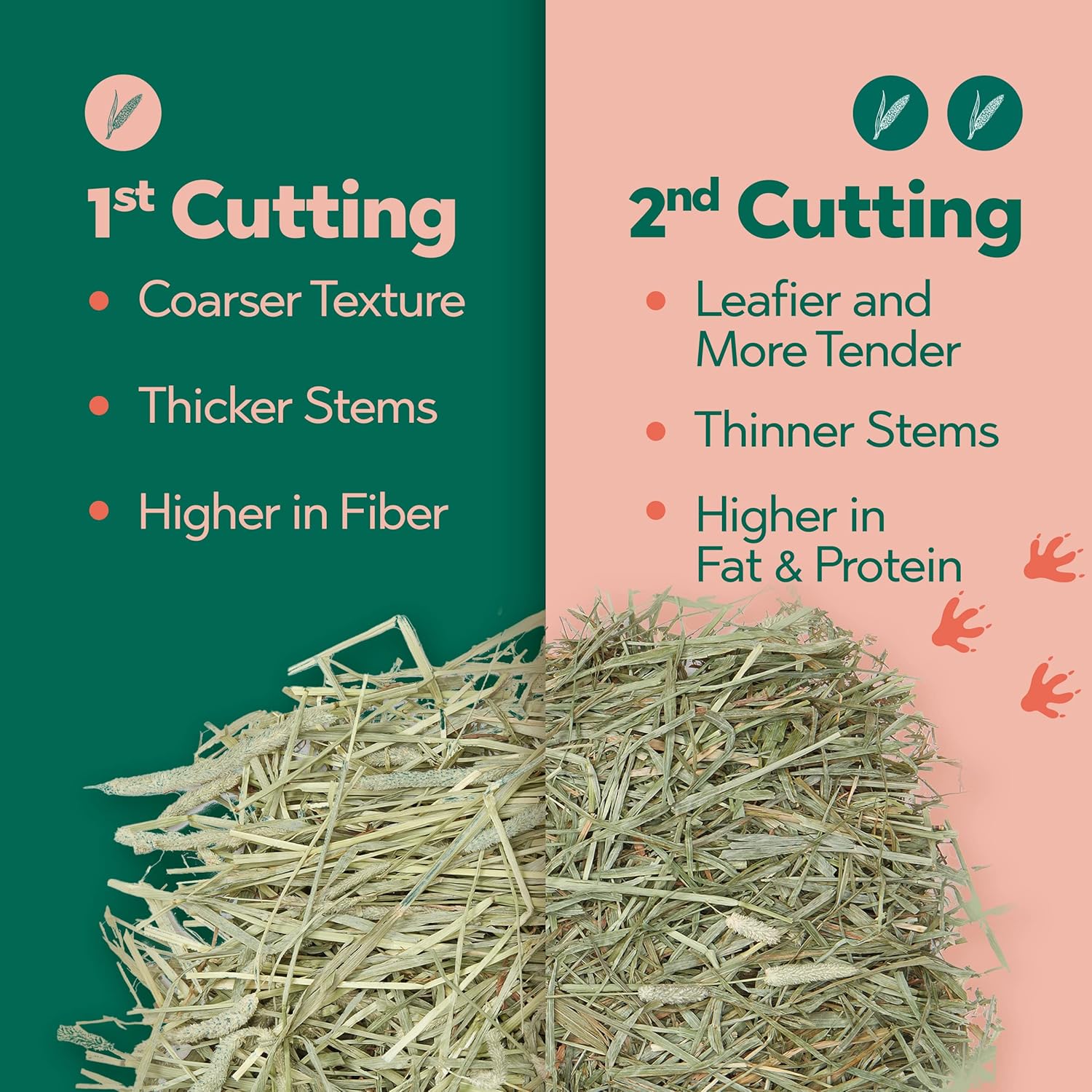 anderson-hay-andy-2nd-cut-timothy-hay-7-lb-box---premium-rabbit-guinea-pig-and-chinchilla-food---balanced-nutrition-for-small-pets-3