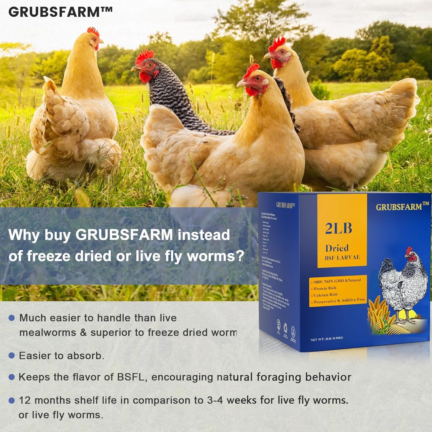 premium-bsf-larvae-chicken-treats-2lbs---non-gmo-high-calcium---molting-laying-supplement---for-layer-hens-ducks-wild-birds---superior-to-dried-mealworms-4