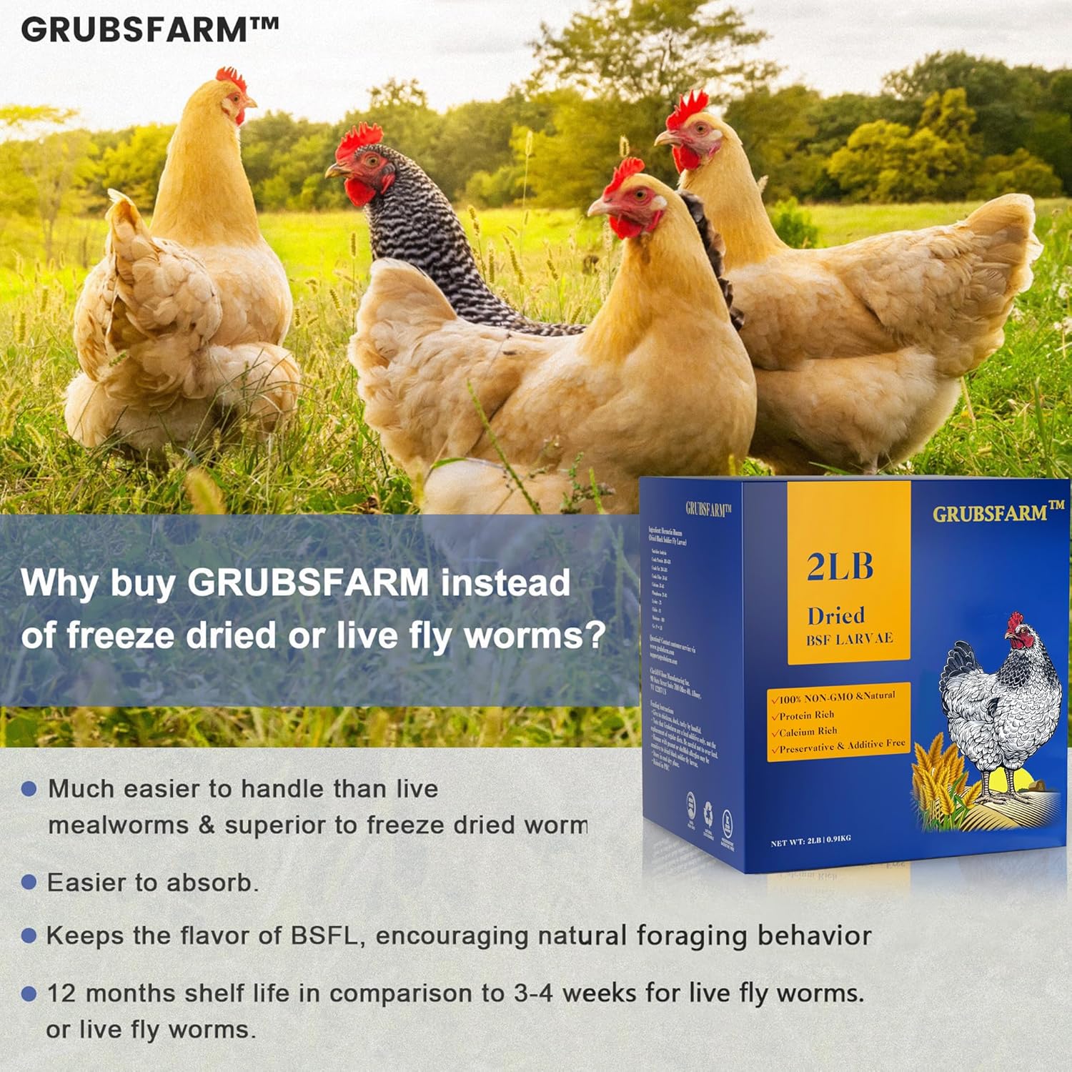 premium-bsf-larvae-chicken-treats-2lbs---non-gmo-high-calcium---molting-laying-supplement---for-layer-hens-ducks-wild-birds---superior-to-dried-mealworms-4