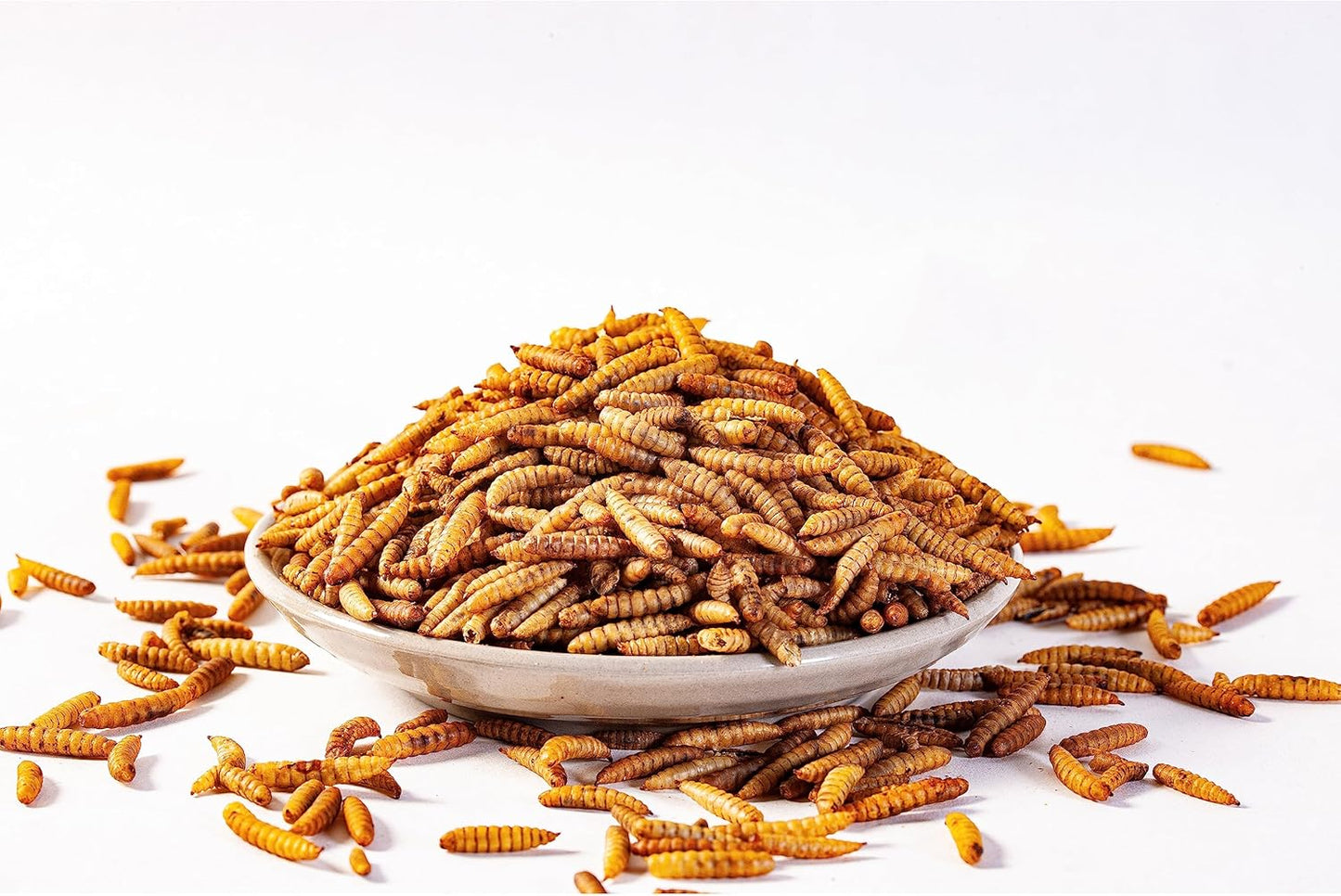 5lb-dried-black-soldier-fly-larvae---100-natural-non-gmo-chicken-feed-with-more-calcium-than-mealworms-4