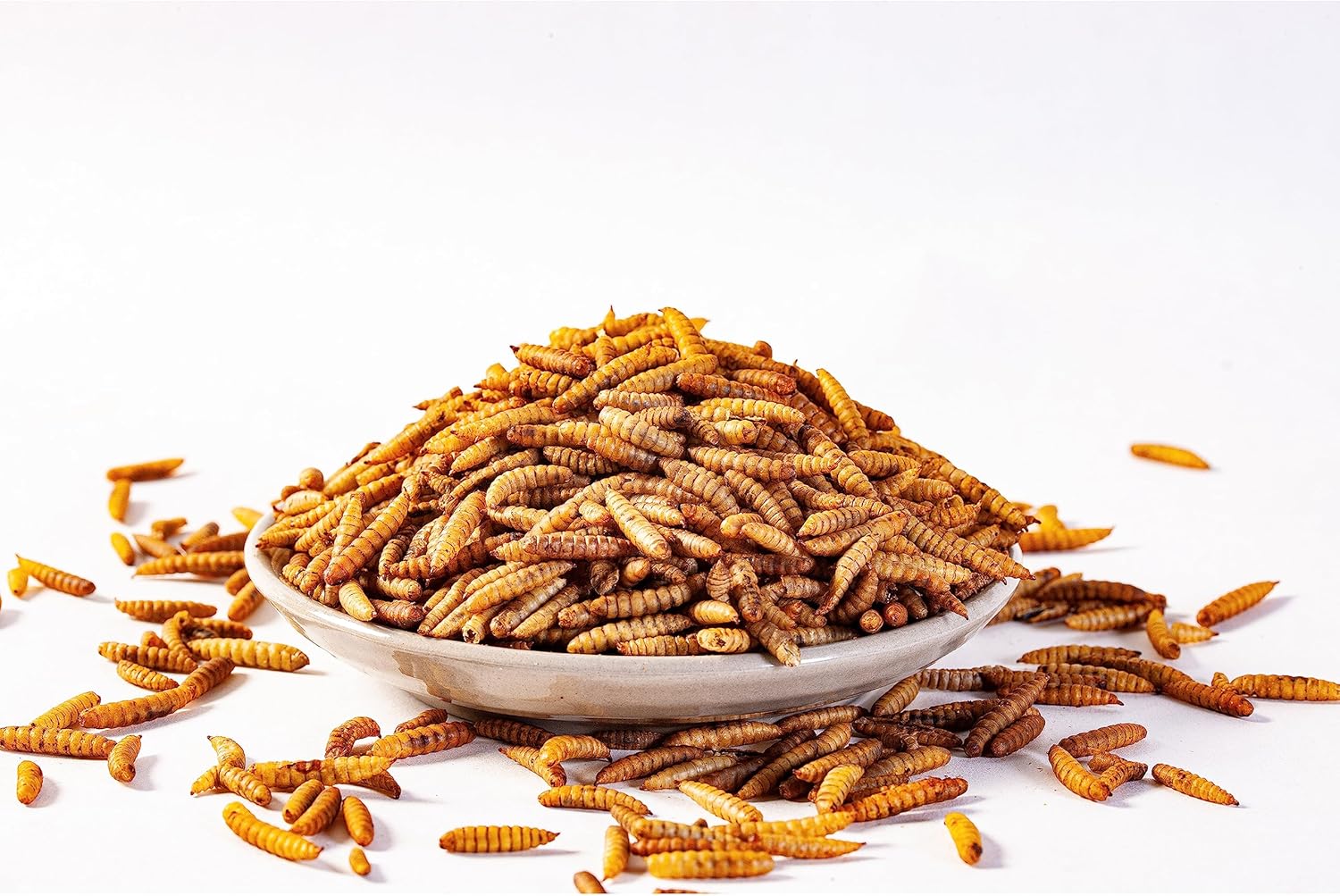 5lb-dried-black-soldier-fly-larvae---100-natural-non-gmo-chicken-feed-with-more-calcium-than-mealworms-4