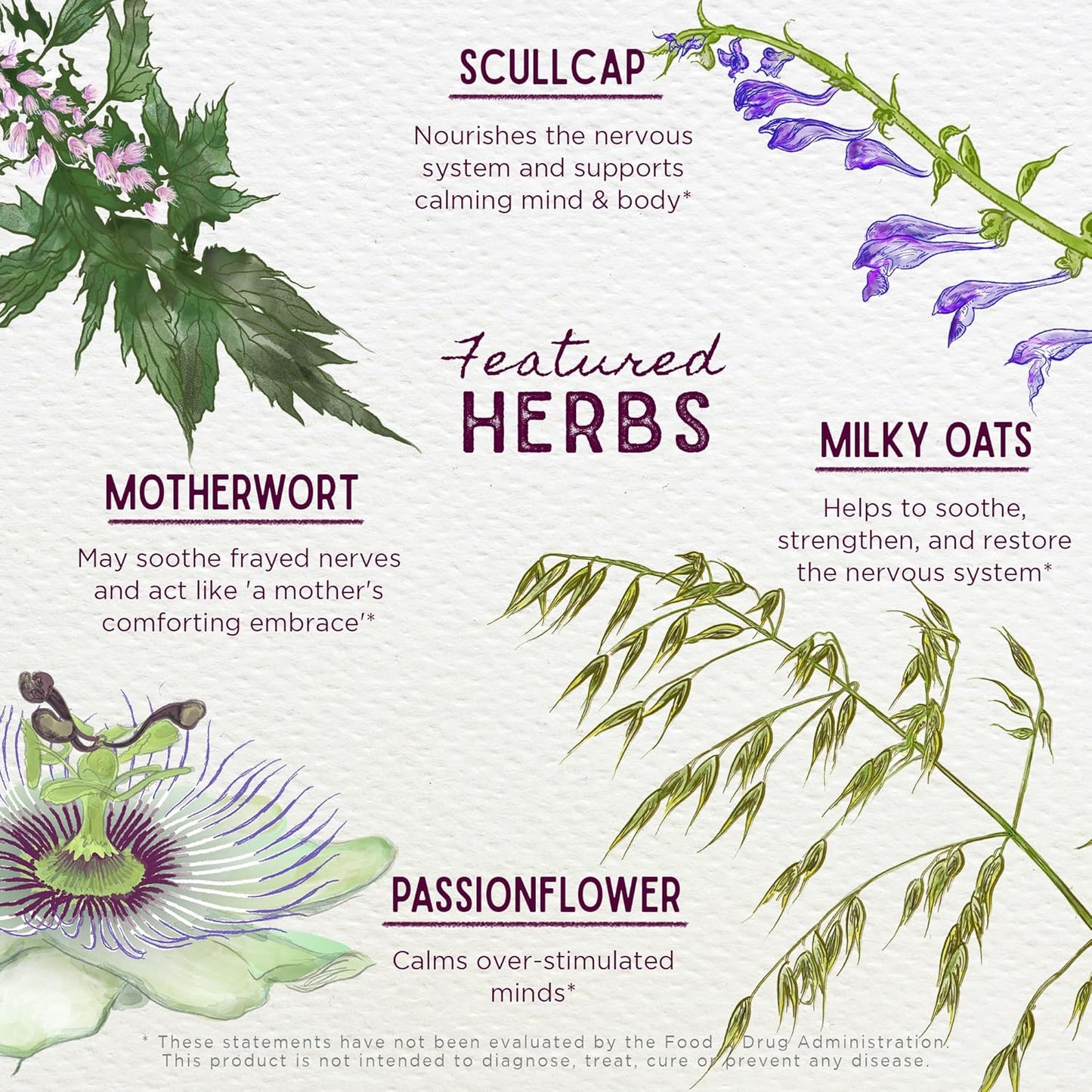 wishgarden-herbs-emotional-ally-liquid-supplement---natural-emotional-support-with-passionflower-scullcap-st-johns-wort-motherwort---fast-acting-herbal-formula-for-grounding---4oz-4