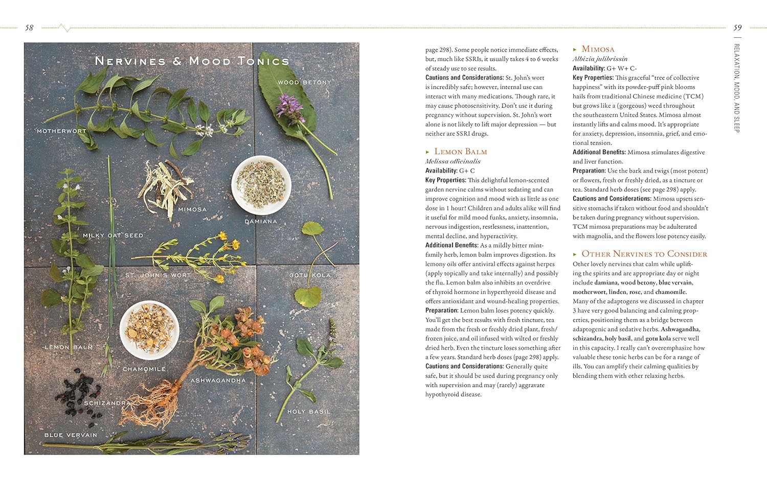 herbal-guide-to-holistic-self-care-for-achieving-body-balance-11