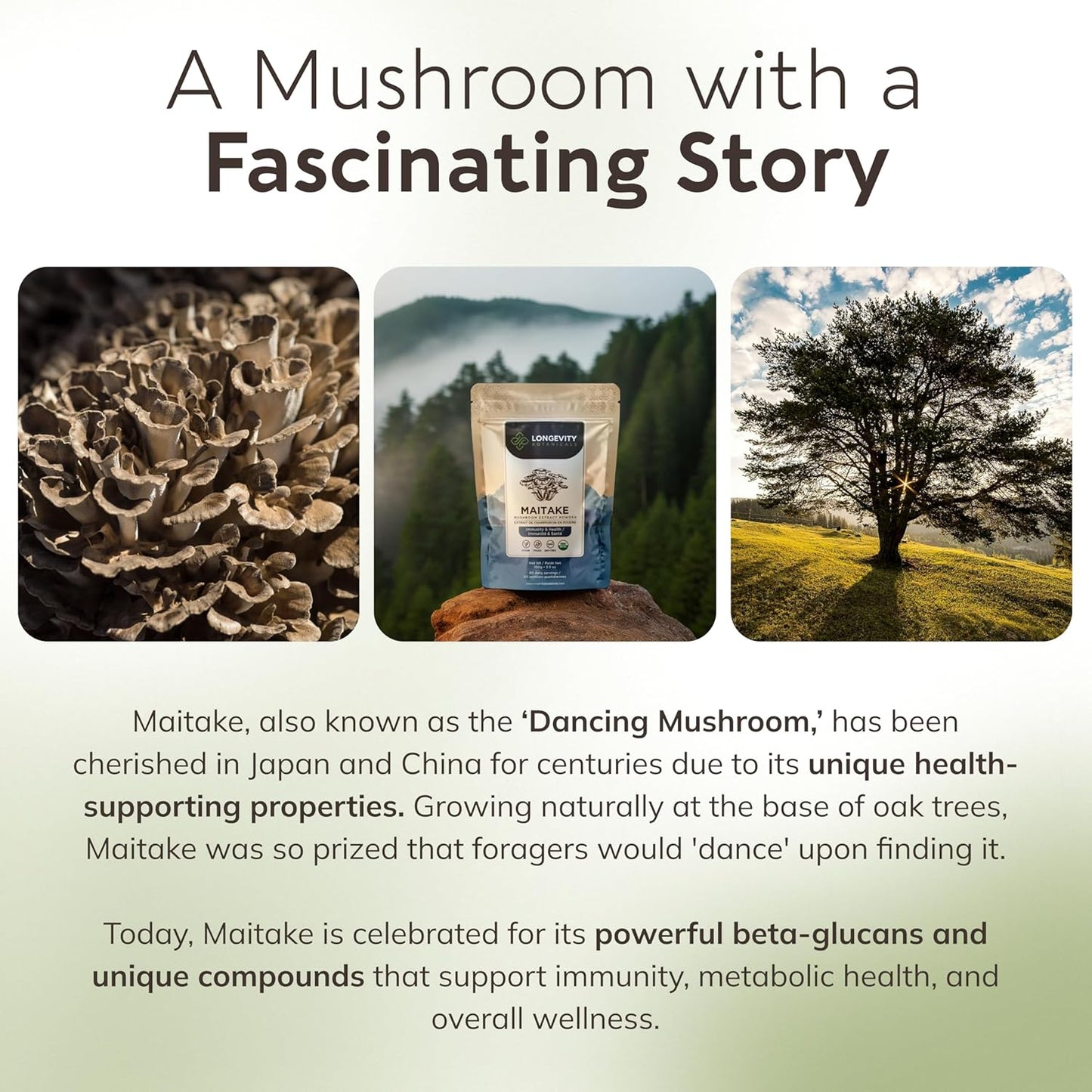 organic-maitake-mushroom-powder---ultra-concentrated-extract-for-balanced-immune-system---100-fruiting-body---100g-7