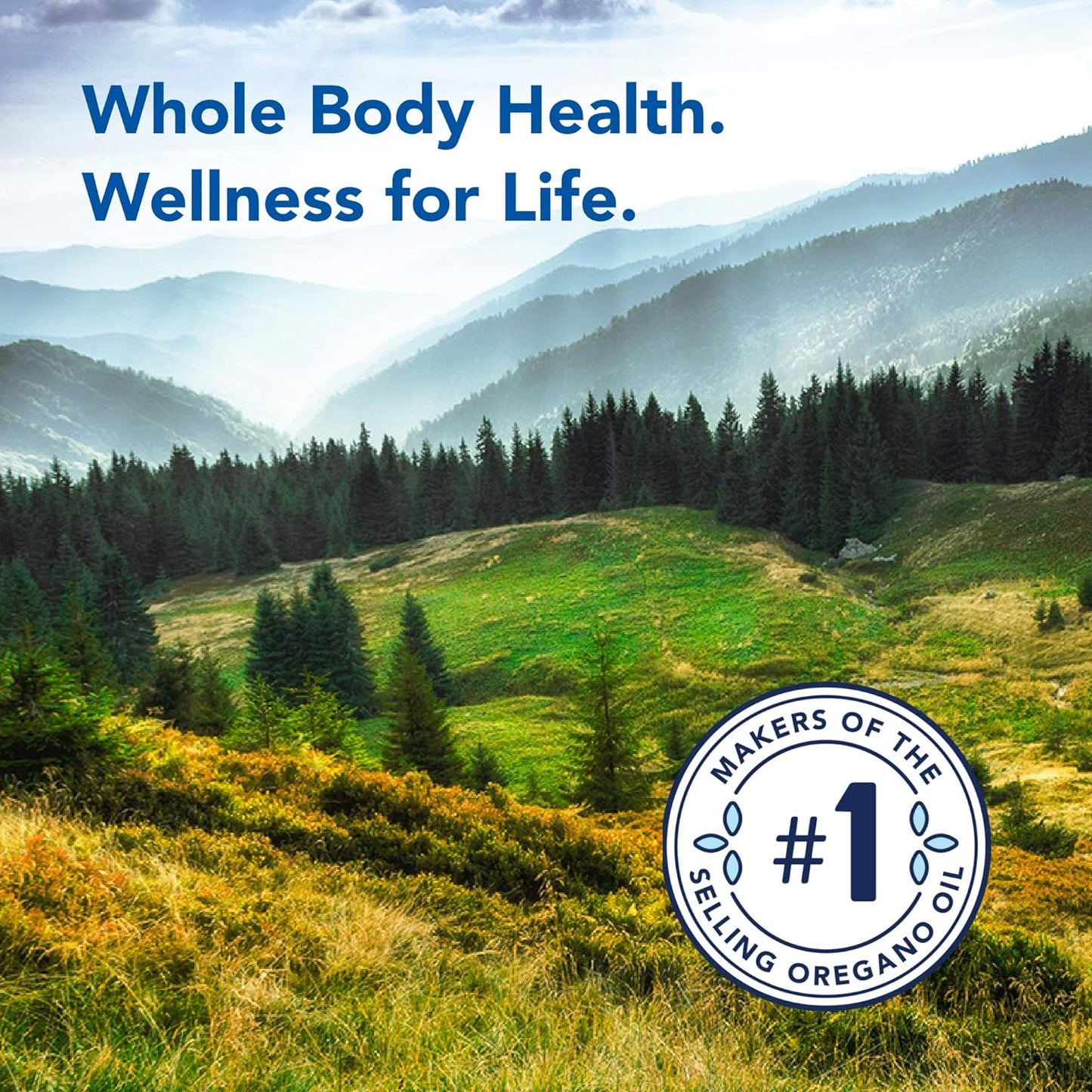 organic-liver-support-capsules-with-concentrated-herbs-spices---non-gmo-detox-digestive-aid---30-servings-5