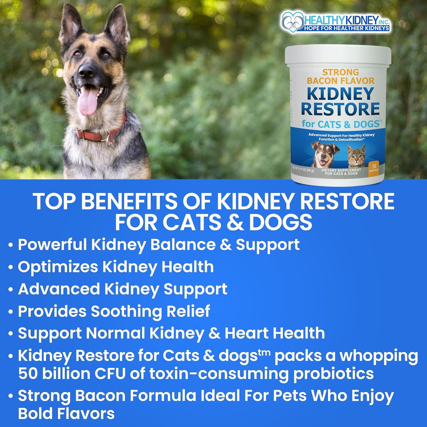 Pet Kidney Support Supplements for Cats and Dogs, Natural Renal Health Aid for Feline and Canine Urinary Tract Function, Easy to Add to Pets' Food for Optimal Health - Espot.com.au