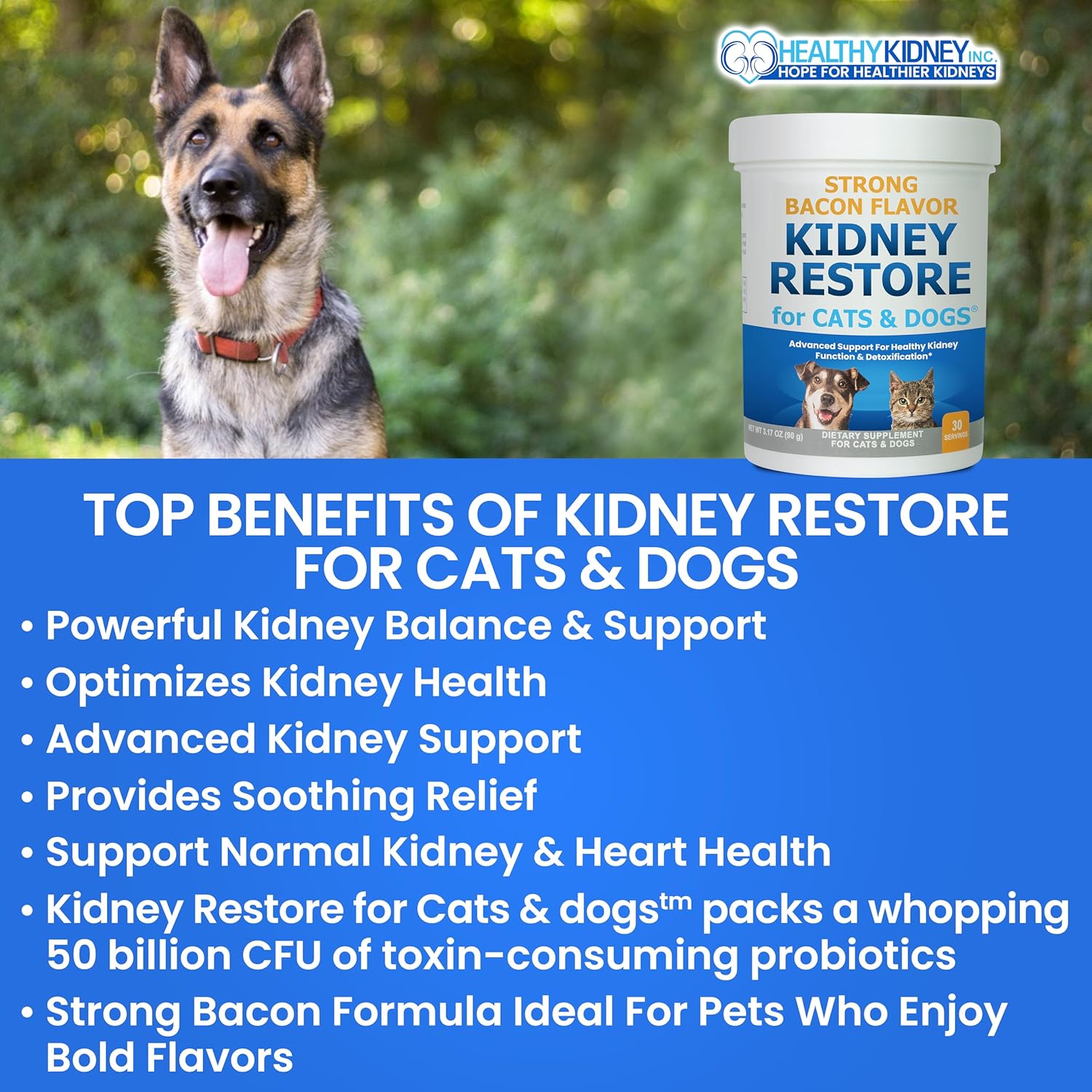 Pet Kidney Support Supplements for Cats and Dogs, Natural Renal Health Aid for Feline and Canine Urinary Tract Function, Easy to Add to Pets' Food for Optimal Health - Espot.com.au