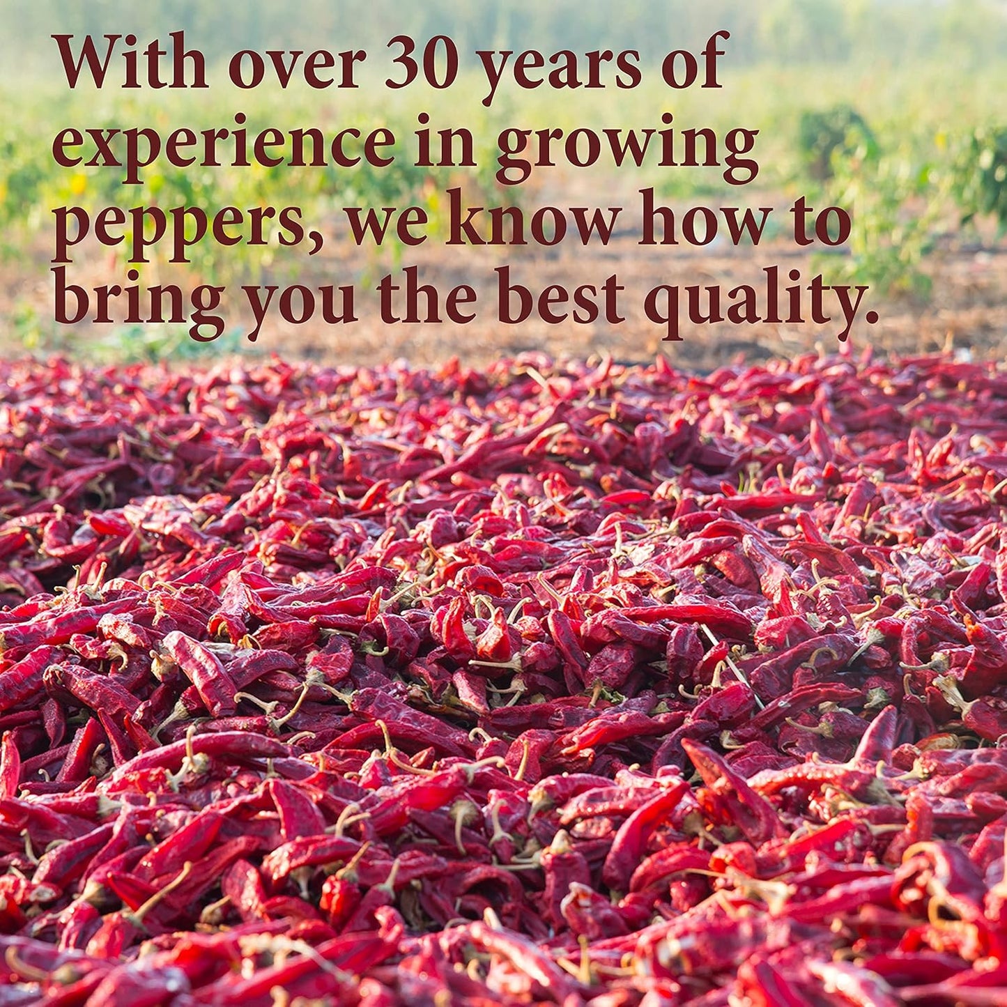 bundle-deal-the-spice-way-pepper-powders-set---4-oz-per-bag---variety-pack-of-spicy-flavors-for-cooking-3