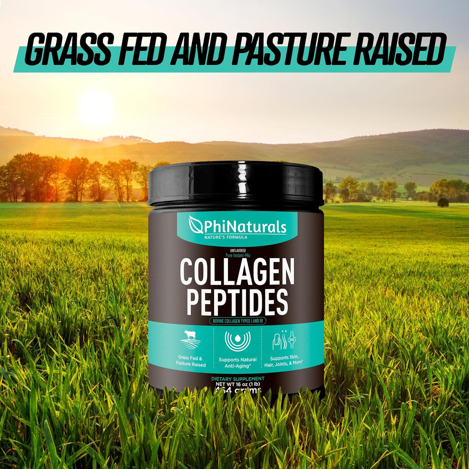 grass-fed-bovine-beef-collagen-peptides-powder---unflavored-hydrolyzed-supplement-for-men-and-women-by-phinaturals-5