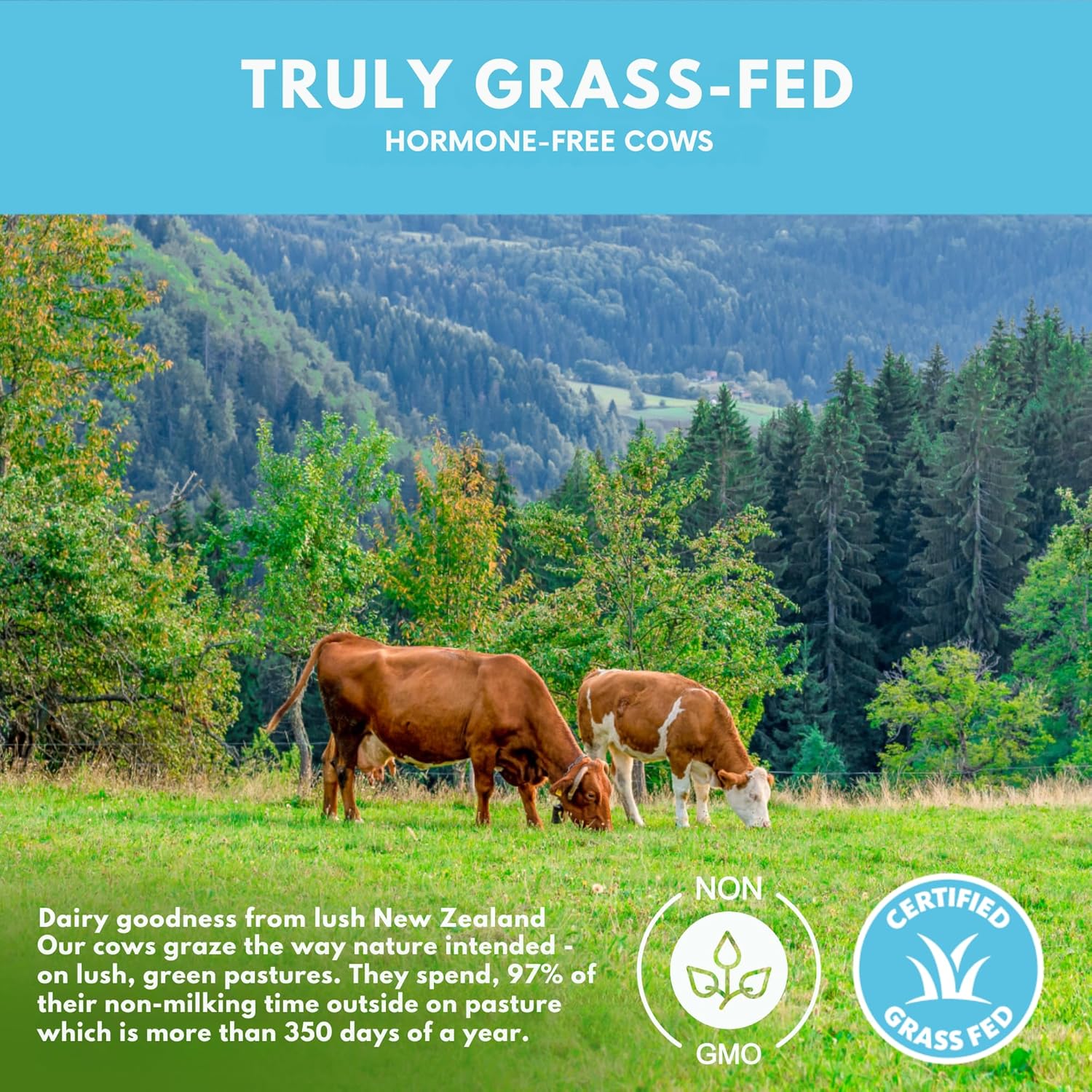 Organic Grass Fed Whey Isolate Protein Powder - Unflavored 28g Protein Powder, Hormone-Free, Non GMO - 1lb Pack - Espot.com.au