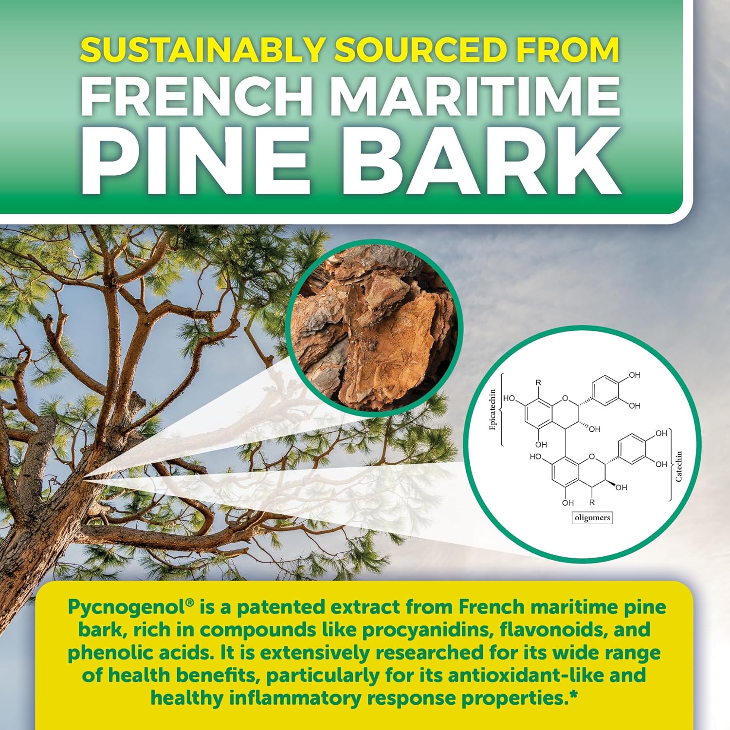 french-maritime-pine-bark-extract-capsules-100mg---boost-blood-circulation-antioxidant-joint-support---60-pycnogenol-supplements-by-viva-naturals-4
