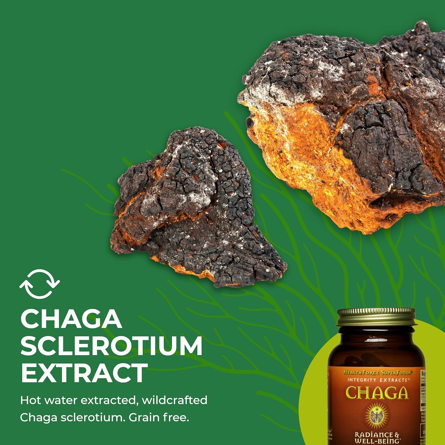 HealthForce SuperFoods Integrity Extracts Chaga Powder - 150g for Immune Support and Antioxidant Boost - Espot.com.au