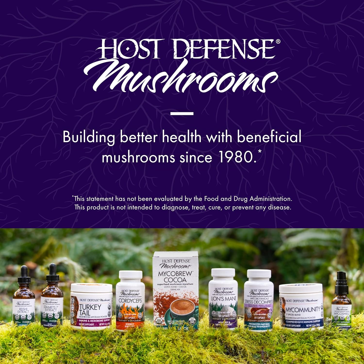 Lion's Mane Mushroom Brain Health Supplement - Supports Focus, Memory, Immune & Nervous System - 30 Capsules - Espot.com.au